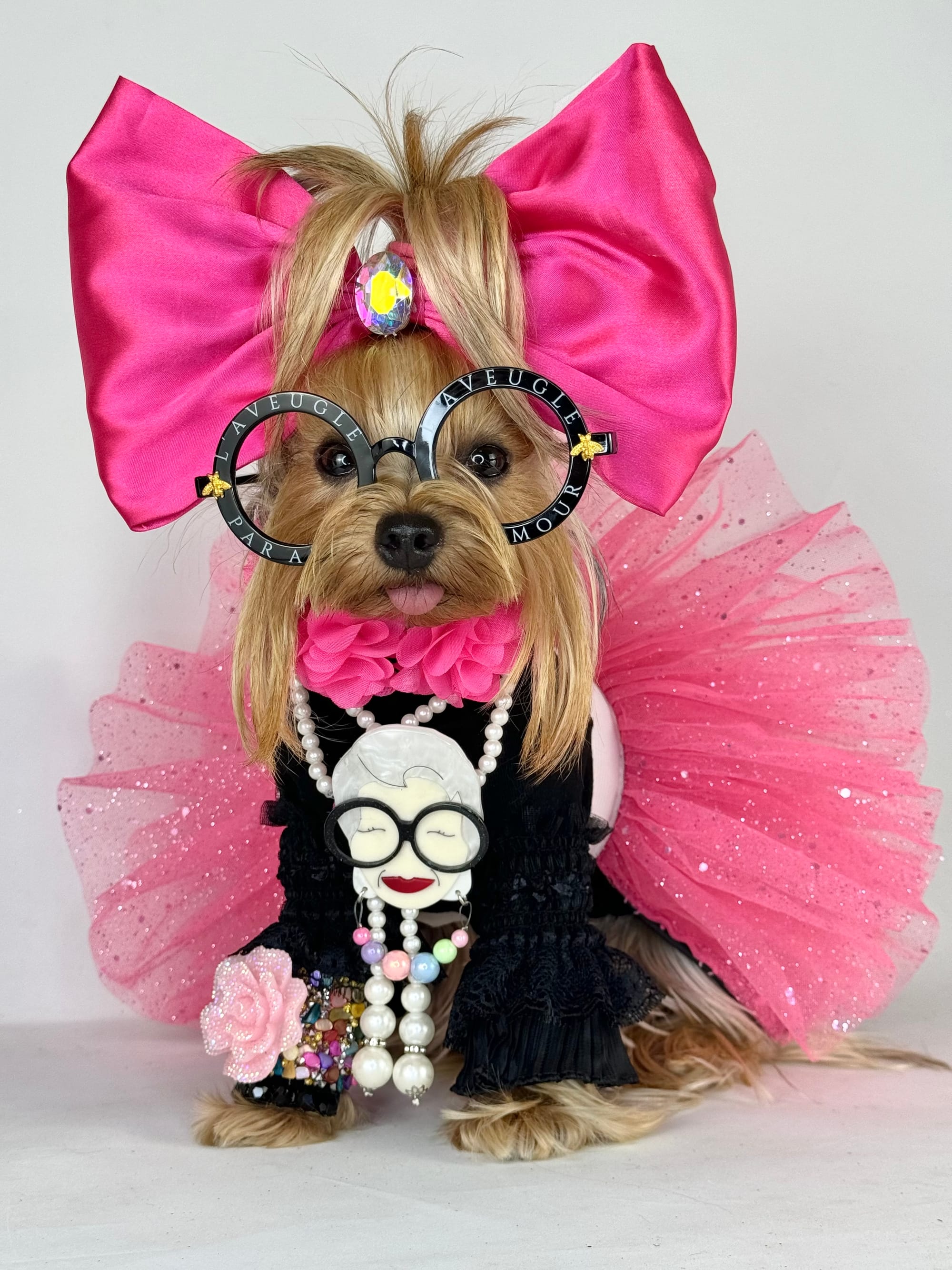 DOGFLUENCERS: Meet Maïa Chanel, The Iconic Yorkie Model