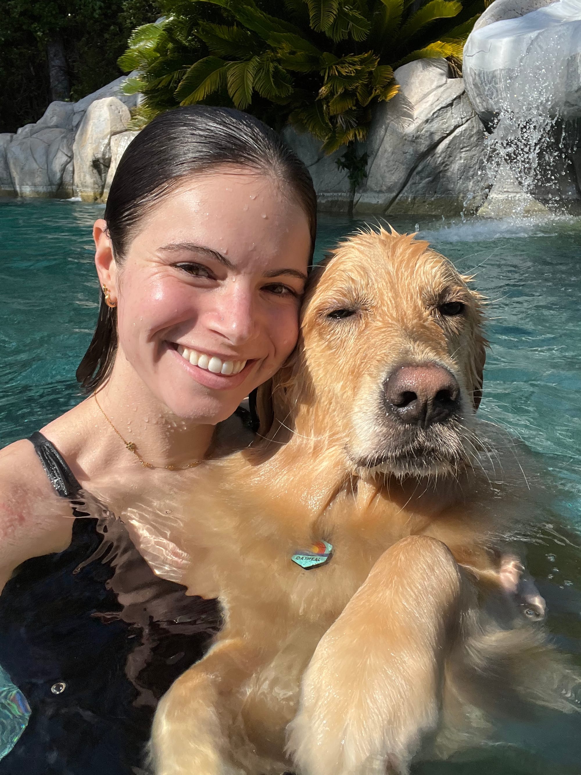 DOGFLUENCERS: Meet Oatmeal, The Oat Goat