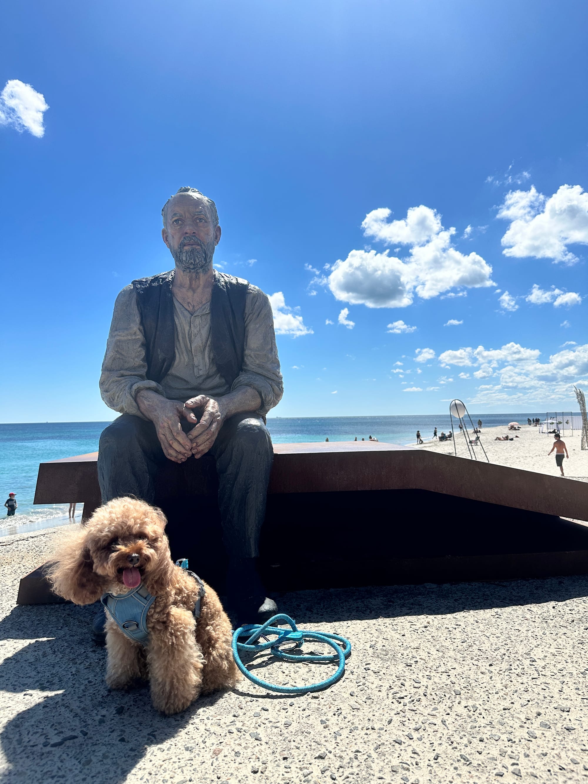 DOGFLUENCERS: Meet King Milo, The King of Poodles