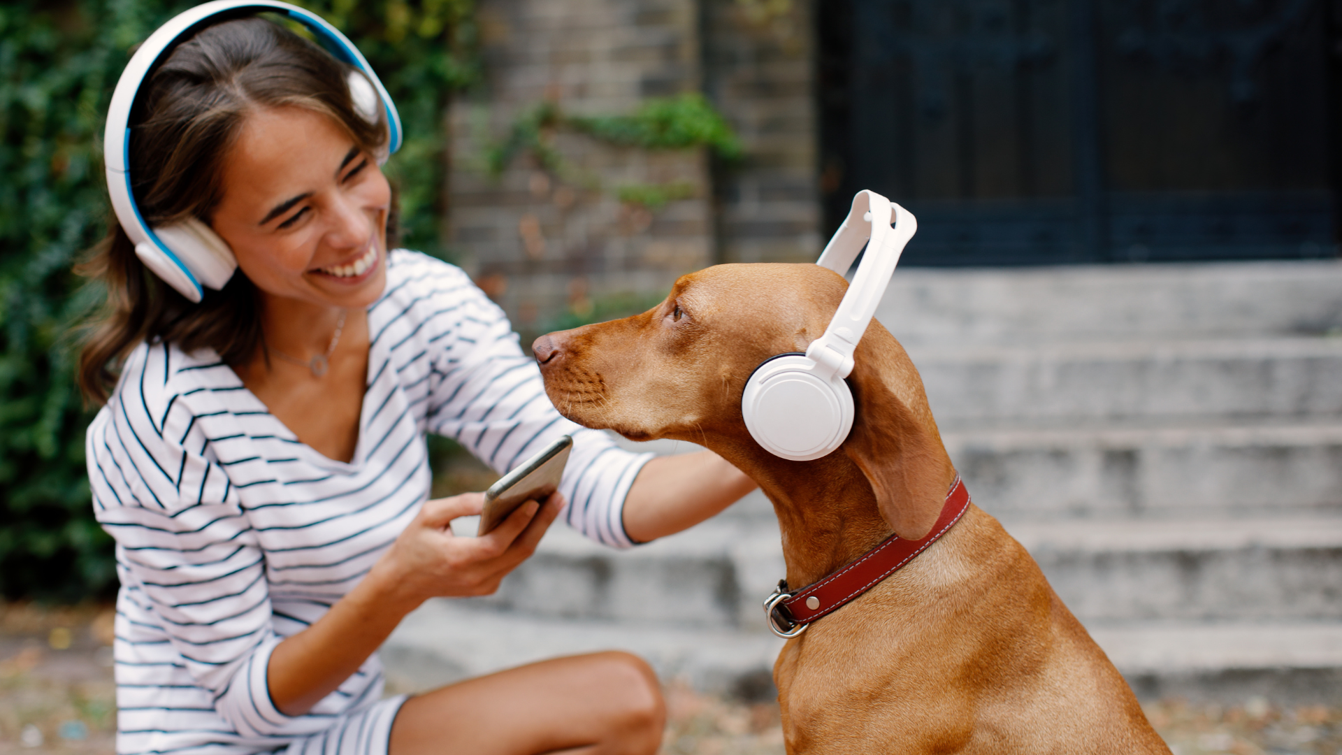 Impact of Music on Dogs