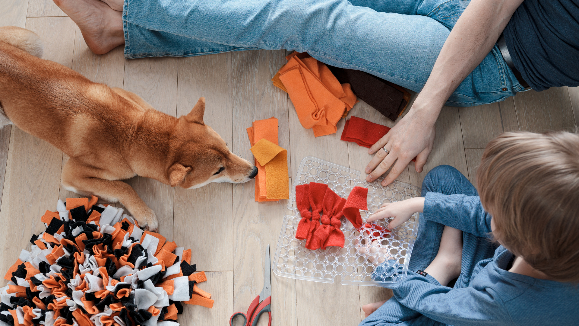 Making DIY Dog Toys with Your Kids