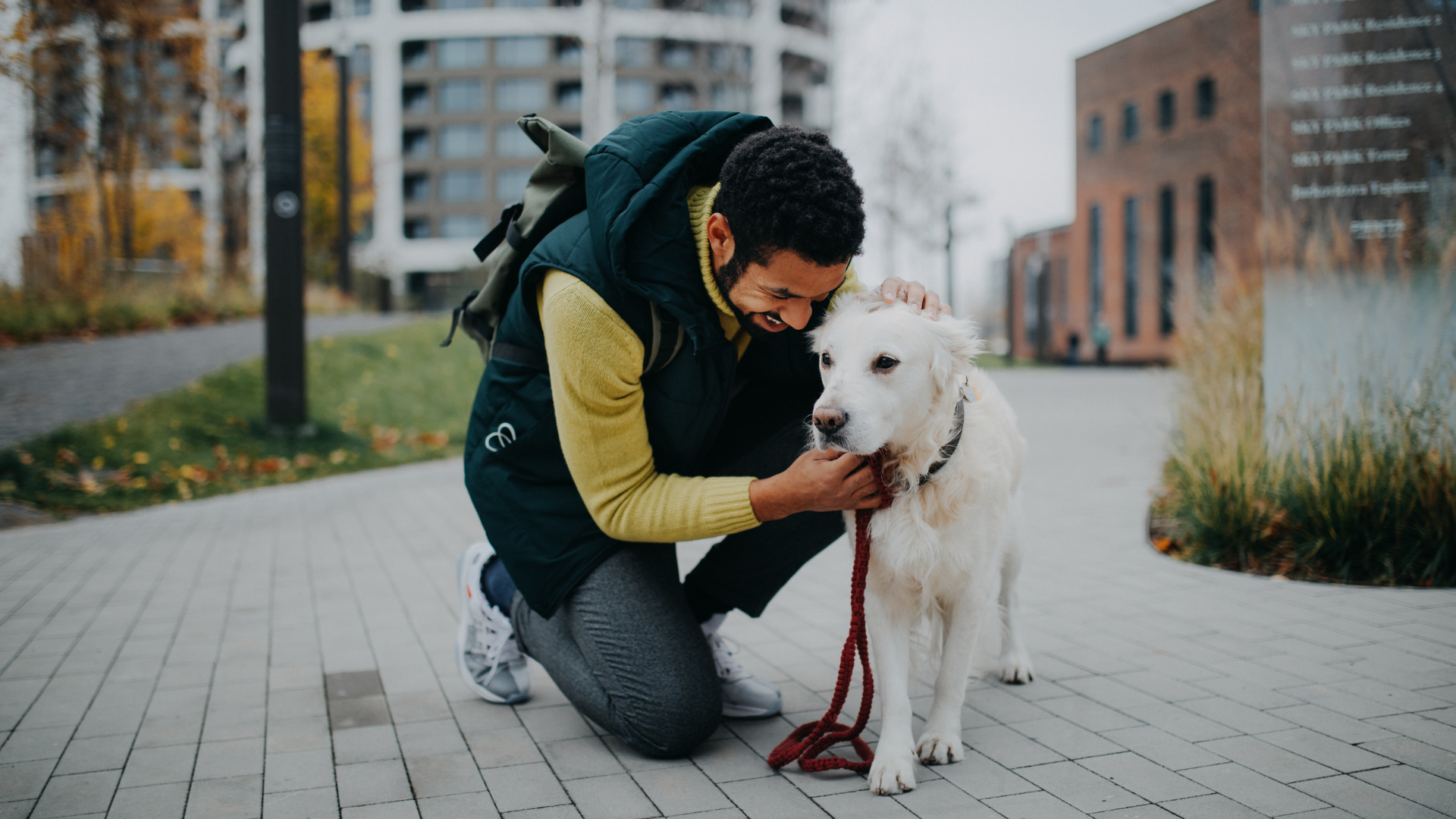 Dog-Friendly Urban Adventures