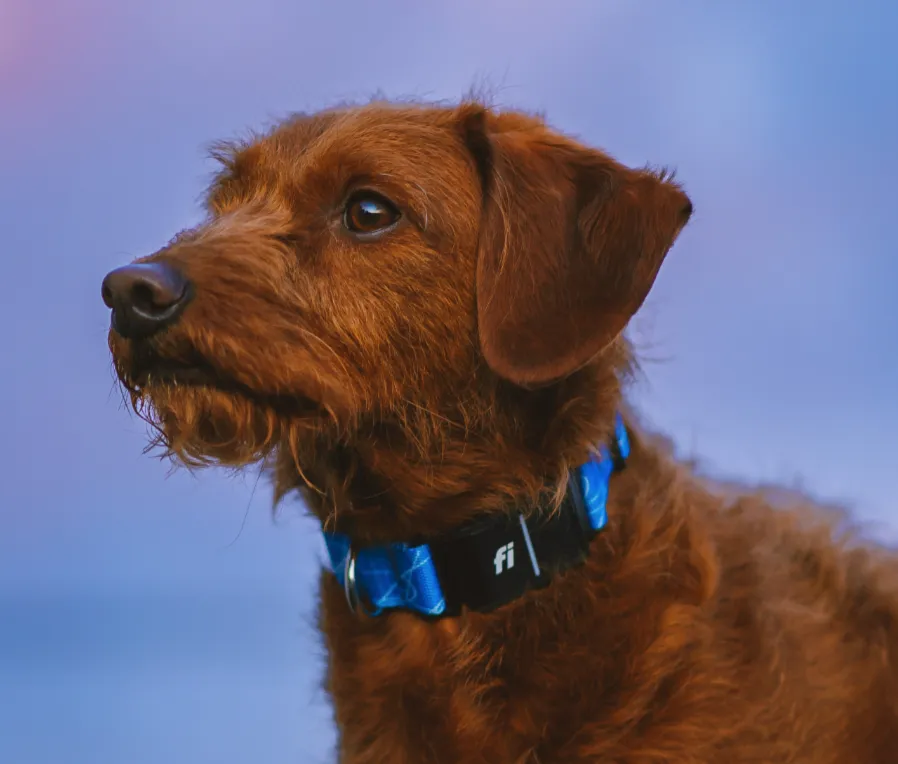 4TH OF JULY SAFETY TIPS