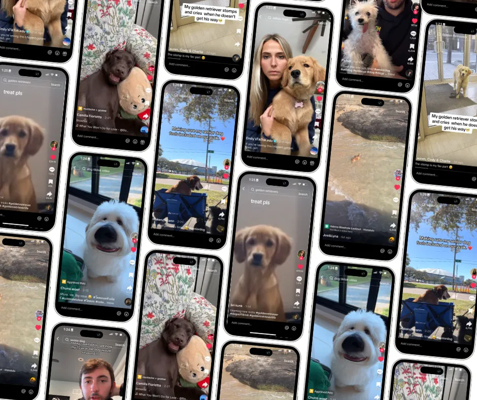 2/8/24: FI’S FAVORITE DOG VIDEOS OF THE WEEK