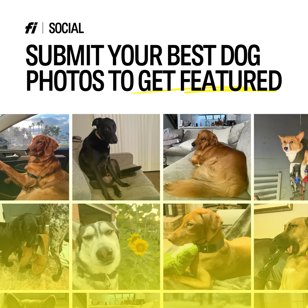 SHOW OFF YOUR DOG: SHARE YOUR BEST PHOTOS TO GET FEATURED 🐶📸
