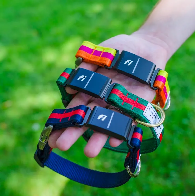 FI Smart Collars