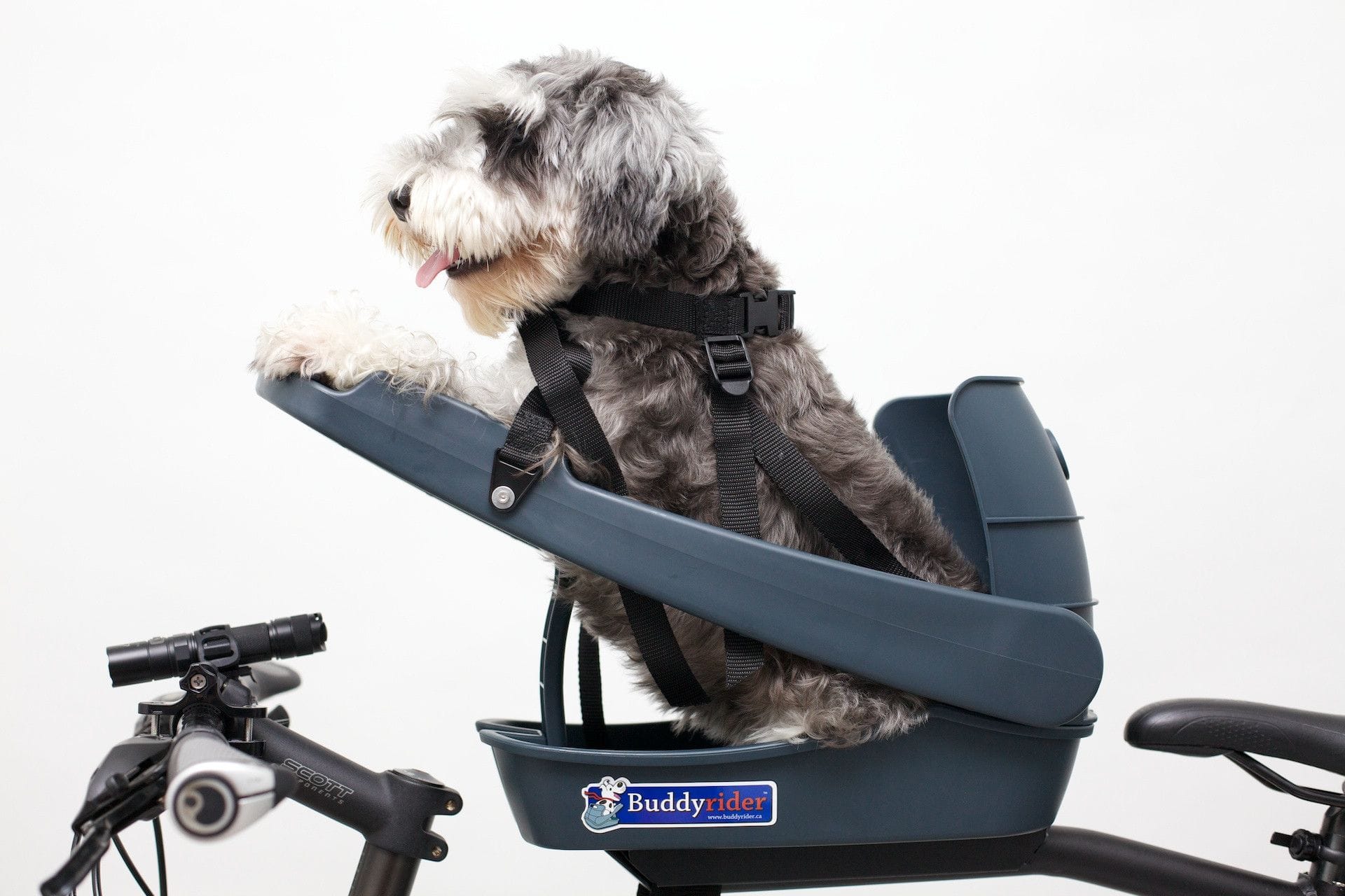 Bike with Dog Carrier