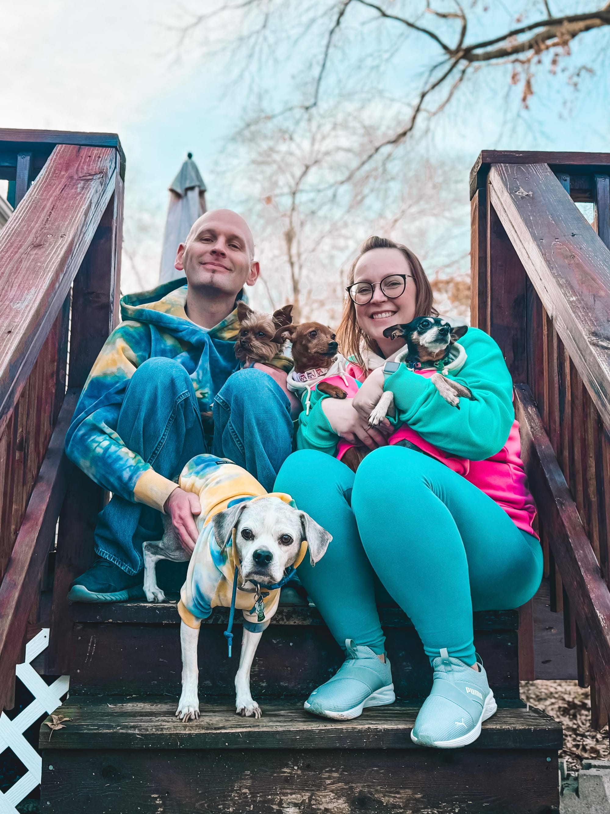 DOGFLUENCERS: Meet Polly, Bentley, Snickers & Walter