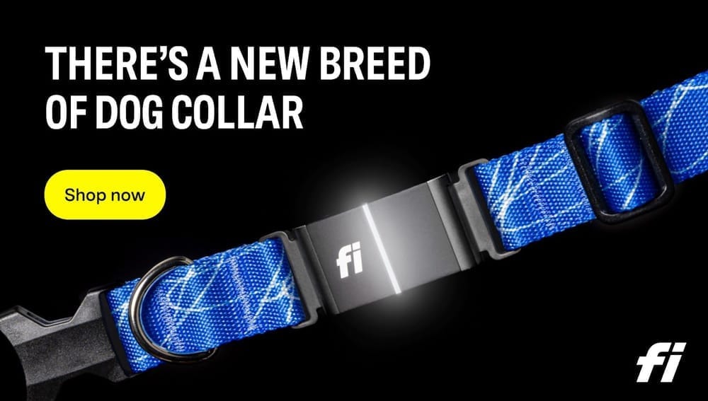 GPS Collar for sale