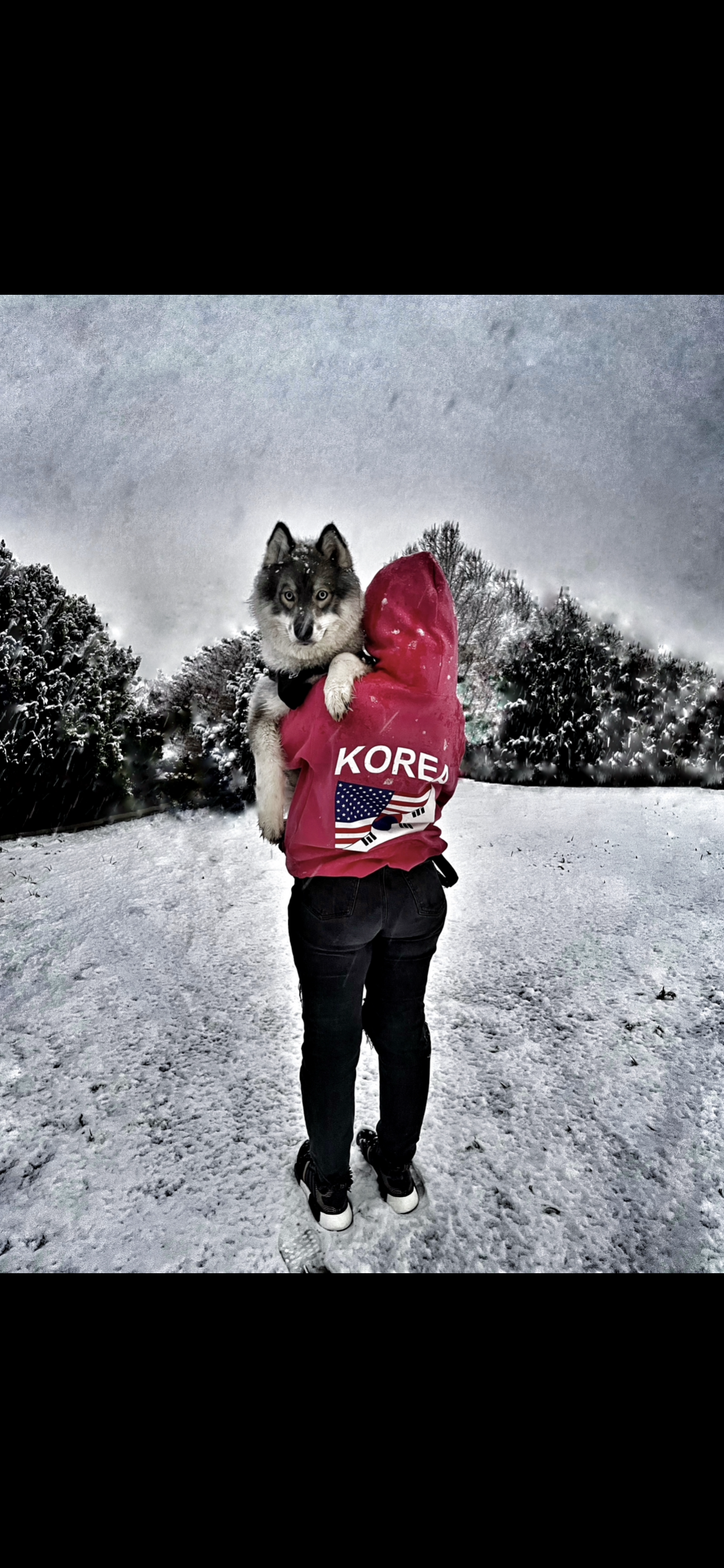 DOGFLUENCERS: Meet Togo, Onyx, Bruno & Shadow...The Pack that Reports for Duty