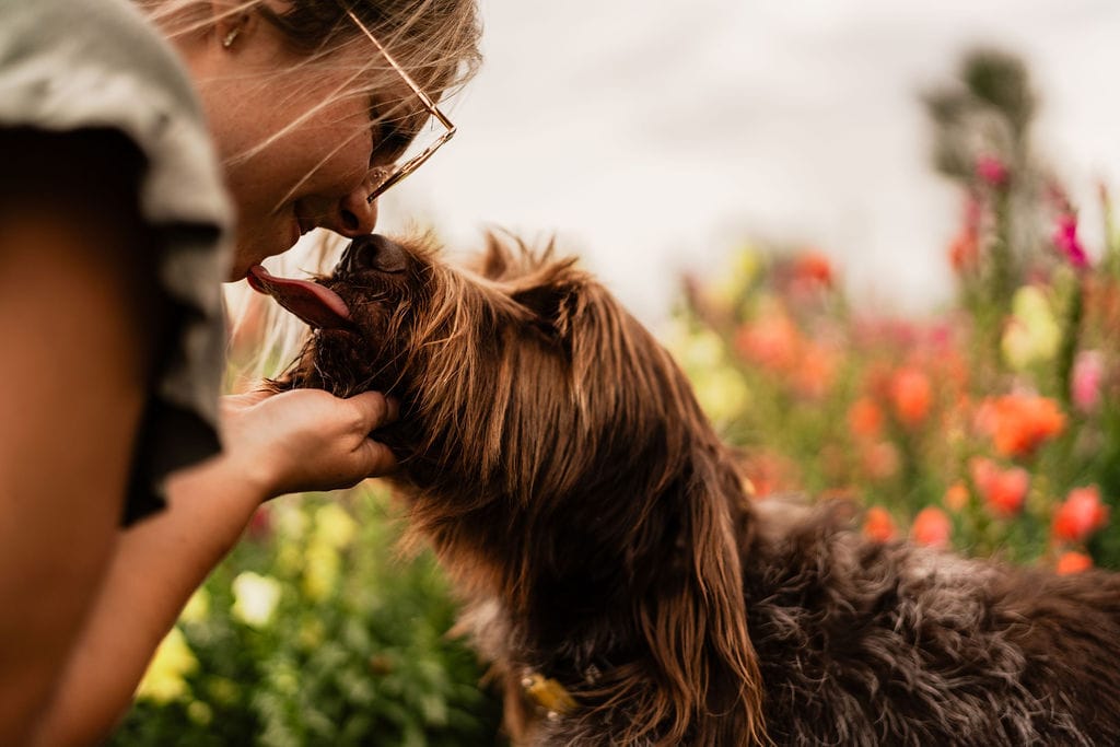 25 Ways to Make 2025 Better for You and Your Dog