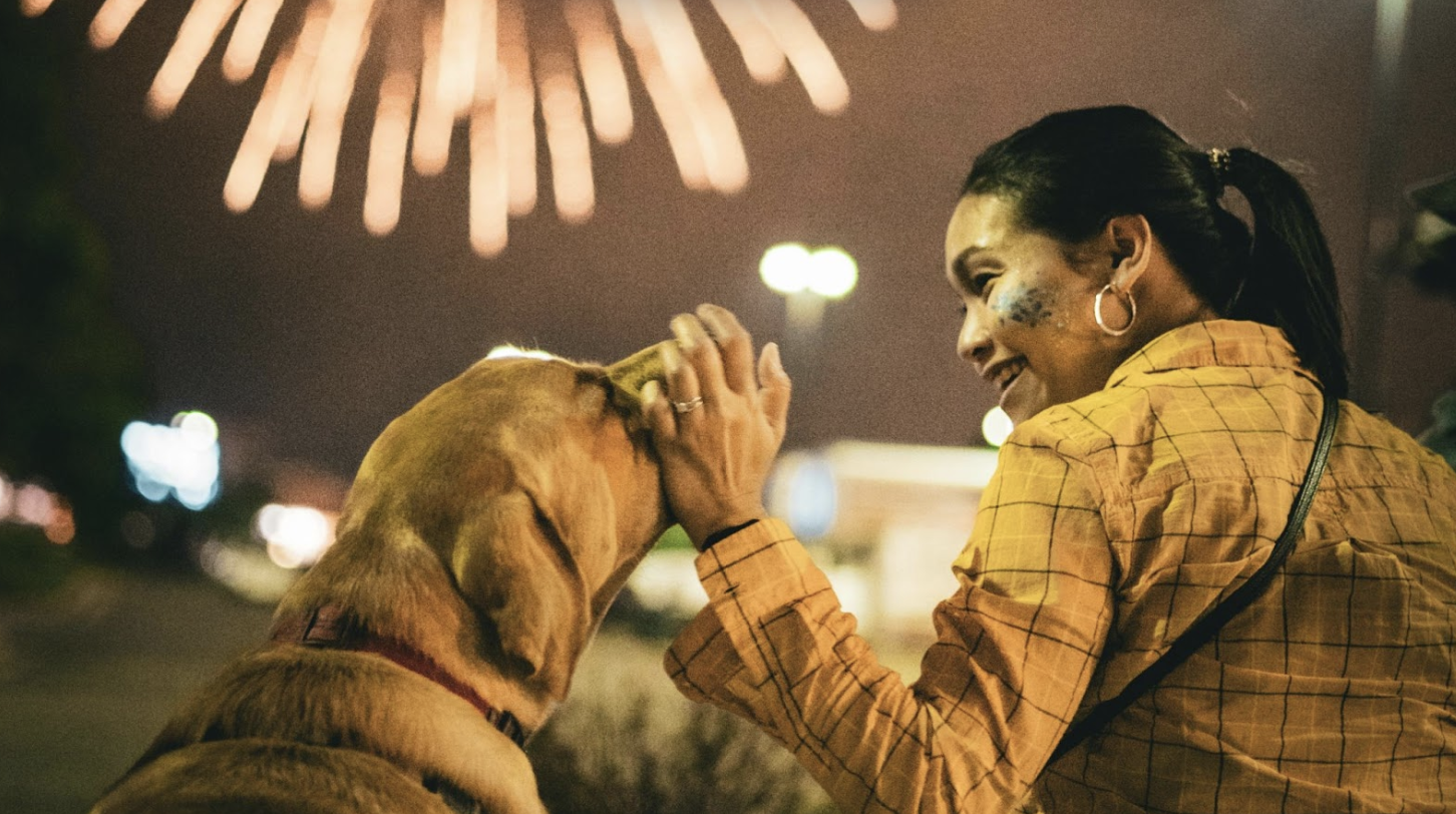 8 Tips for Supporting Your Dog During 4th of July Fireworks