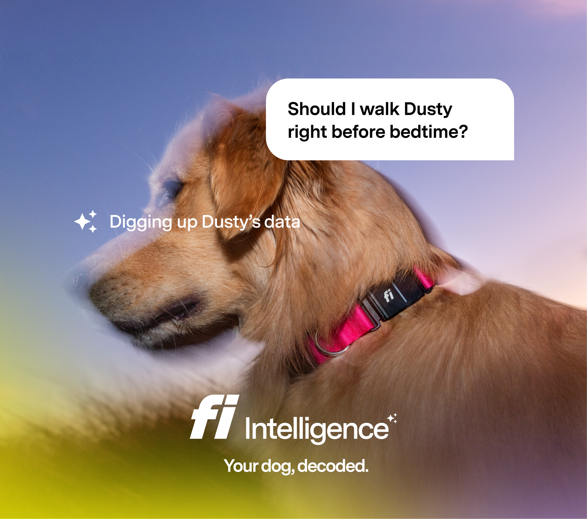 We Built the World’s Largest Dataset of Canine Behavior. Here’s What Your Dog Has Been Trying to Tell You.
