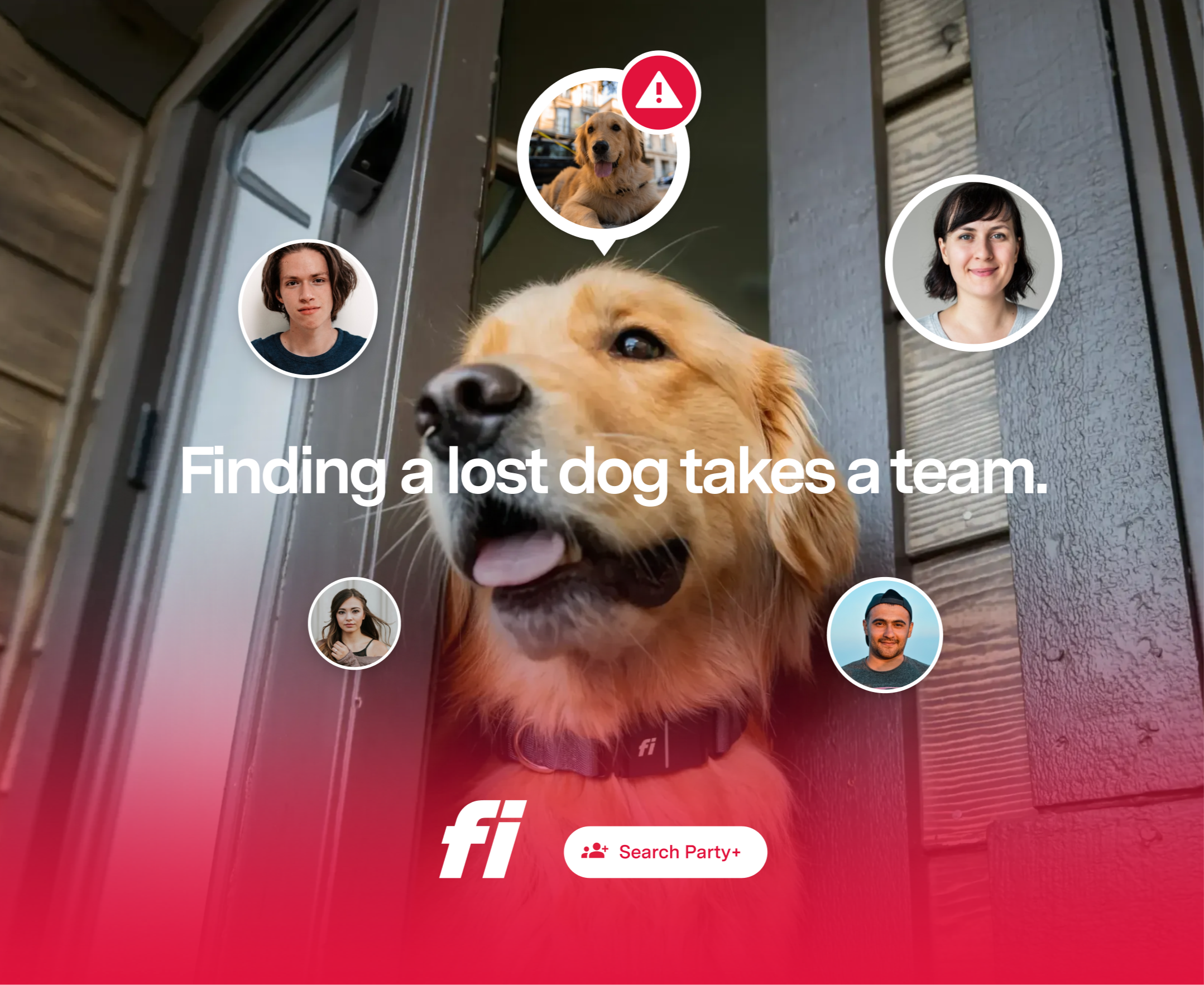 Search Party+: Finding a Lost Dog Shouldn't Fall on One Person