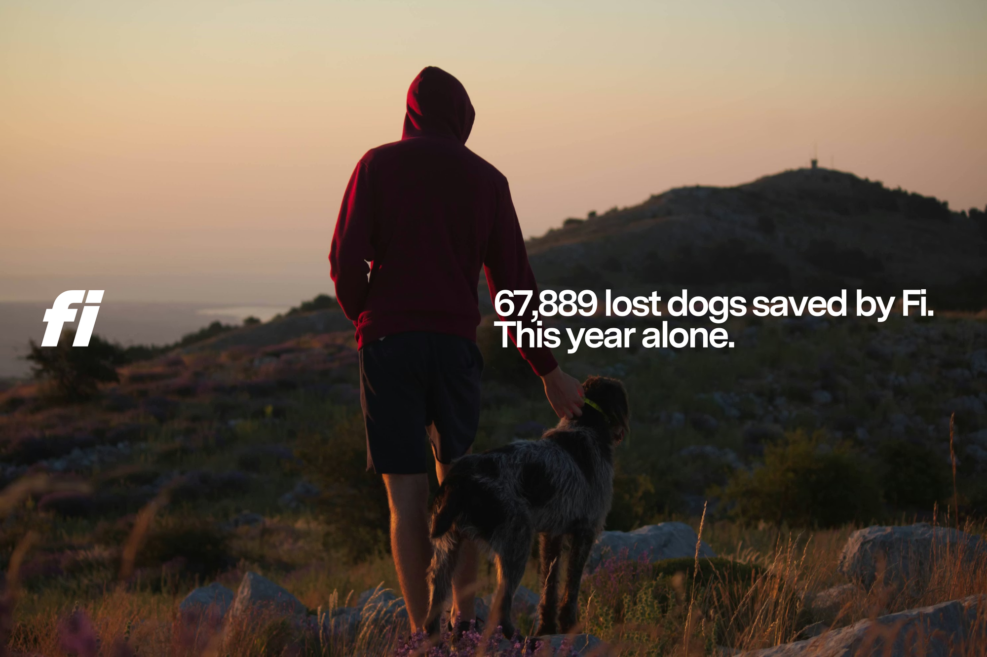 We've Helped Bring 67,889 Dogs Home This Year.