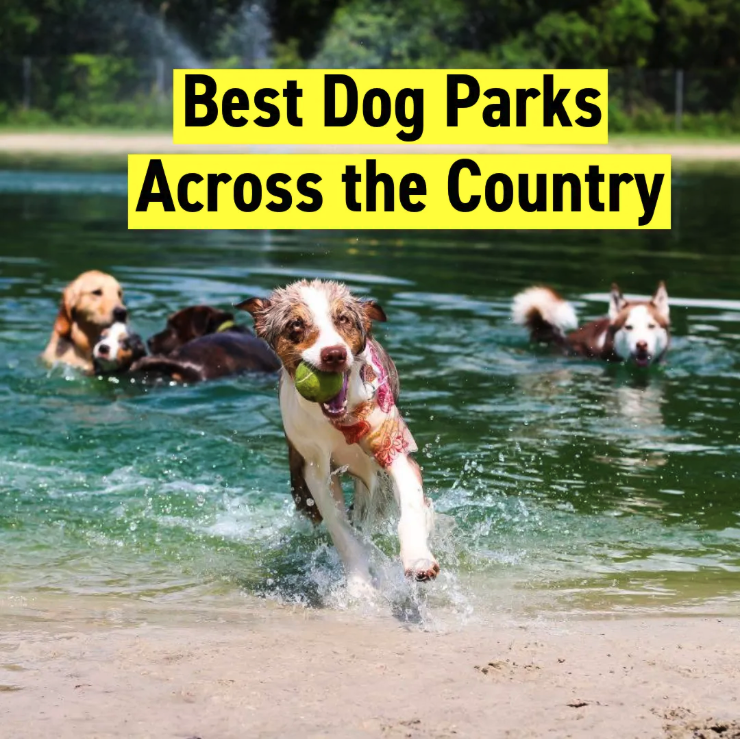 Best Dog Parks Across the Country