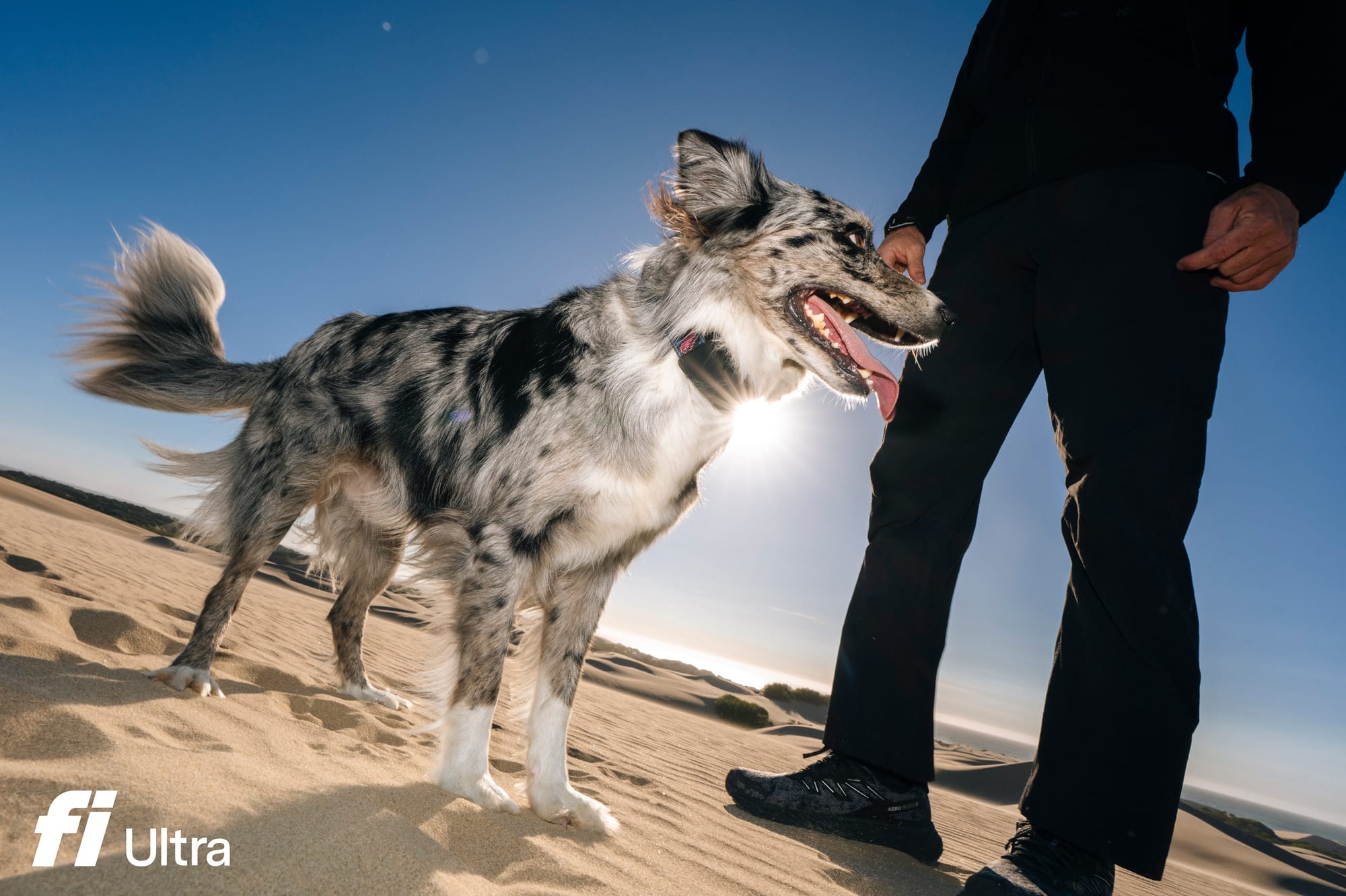 Fi Launches The World’s First Consumer Wearable Powered by T-Satellite With Starlink - The New Fi Ultra™ Dog Tracker.