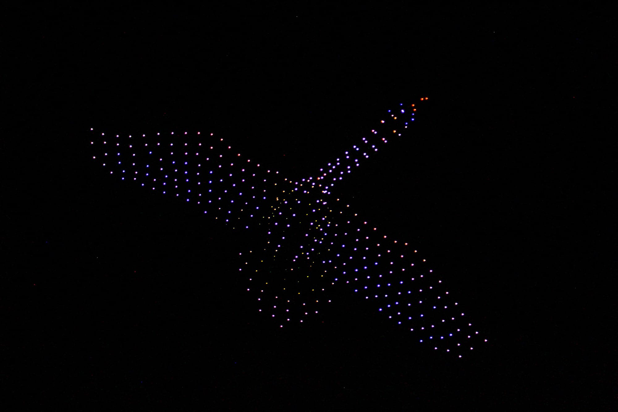 Hundreds of drones light up in the night sky and form a swan in flight. 