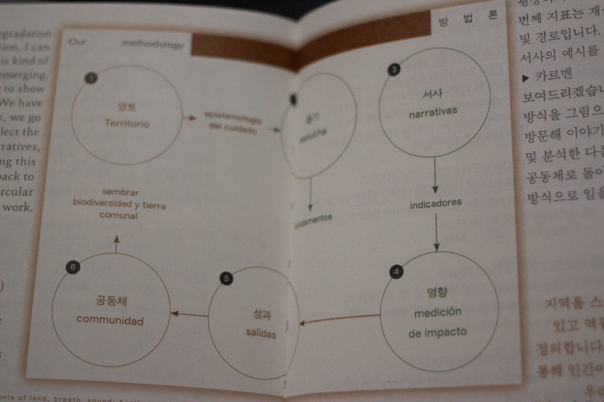 A flowchart printed in a book, with words translated from Spanish to Korean: for example, comunidad (community) or narrativas (narratives).