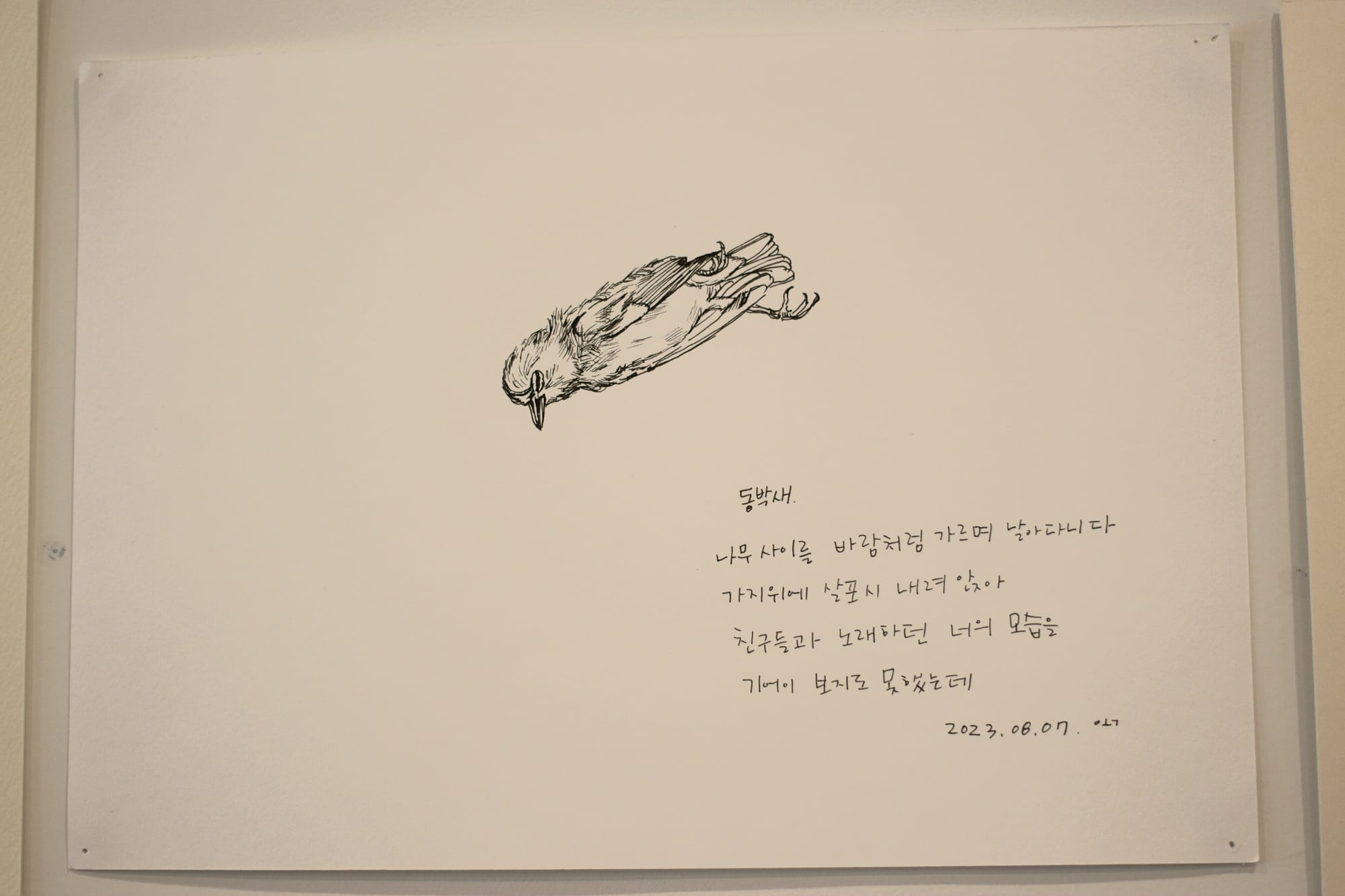 A drawing on paper of a dead bird, with some writing in Korean under it.