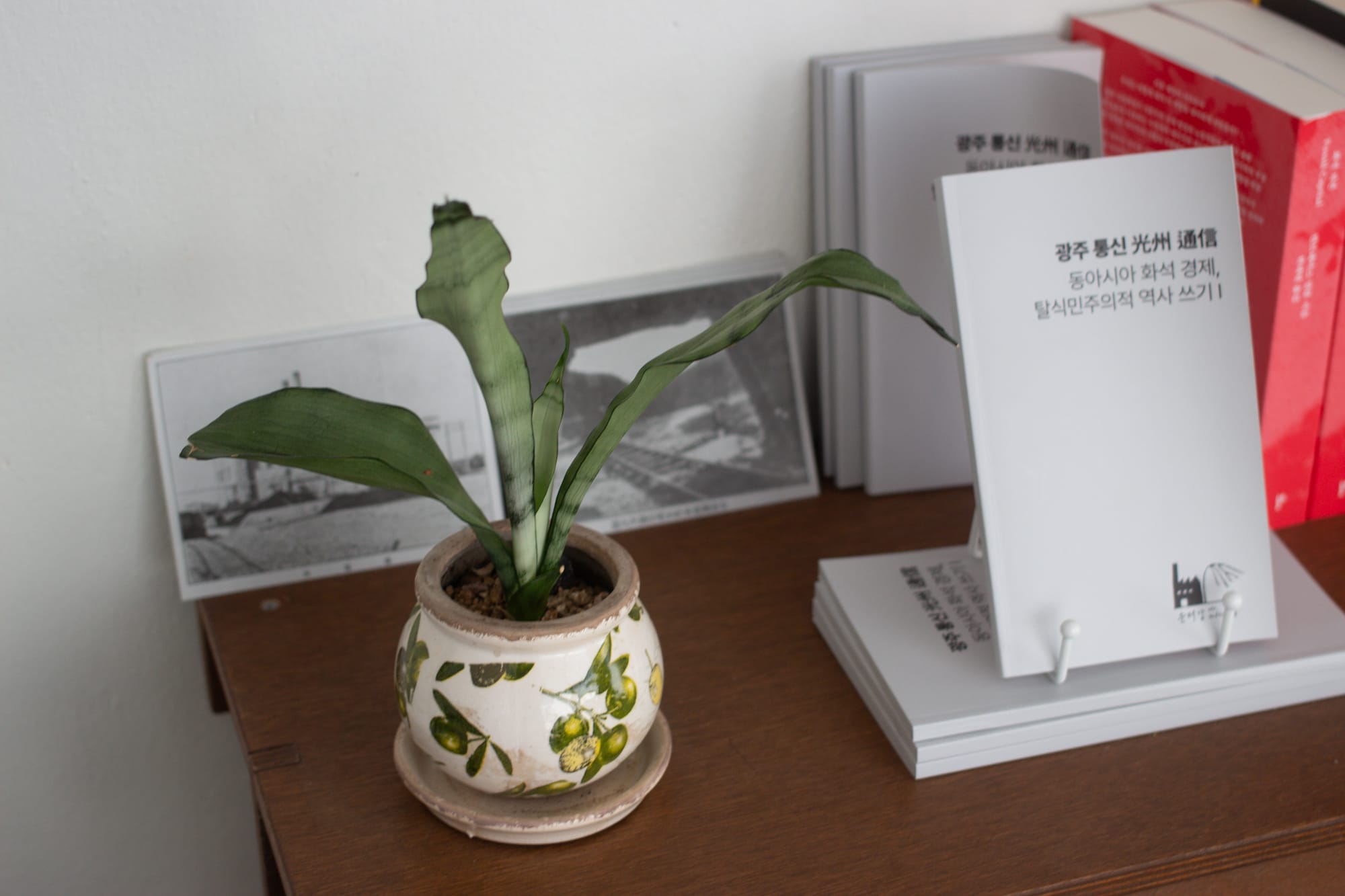 A shelf with a potted plant in front of some black and white photos of a factory and railroad. Seven copies of a gray book with the Untergang logo are on display.