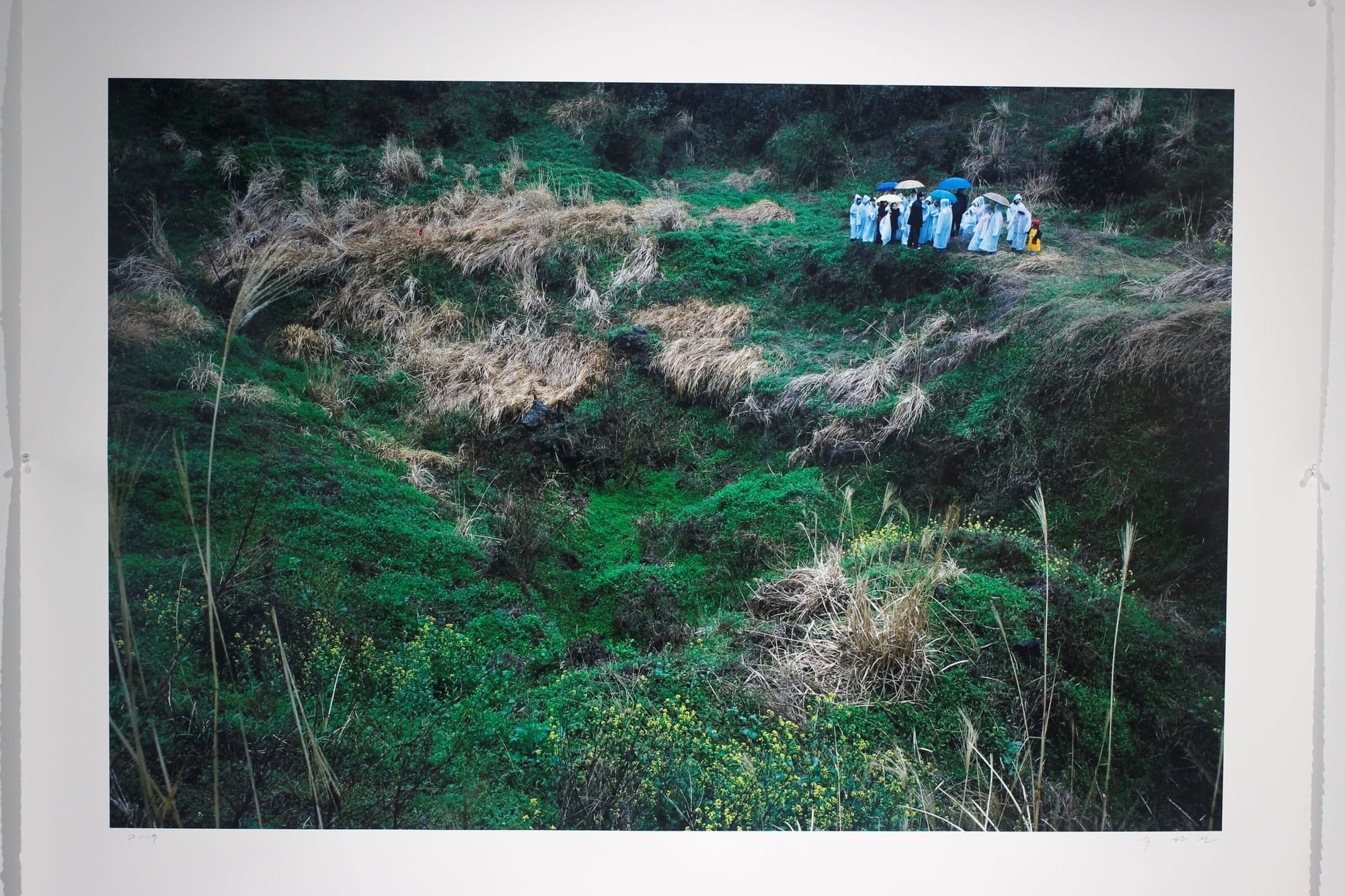 A large printed photograph of a rich green landscape with long grasses and a group of people in white ponchos and umbrellas, standing in one spot.