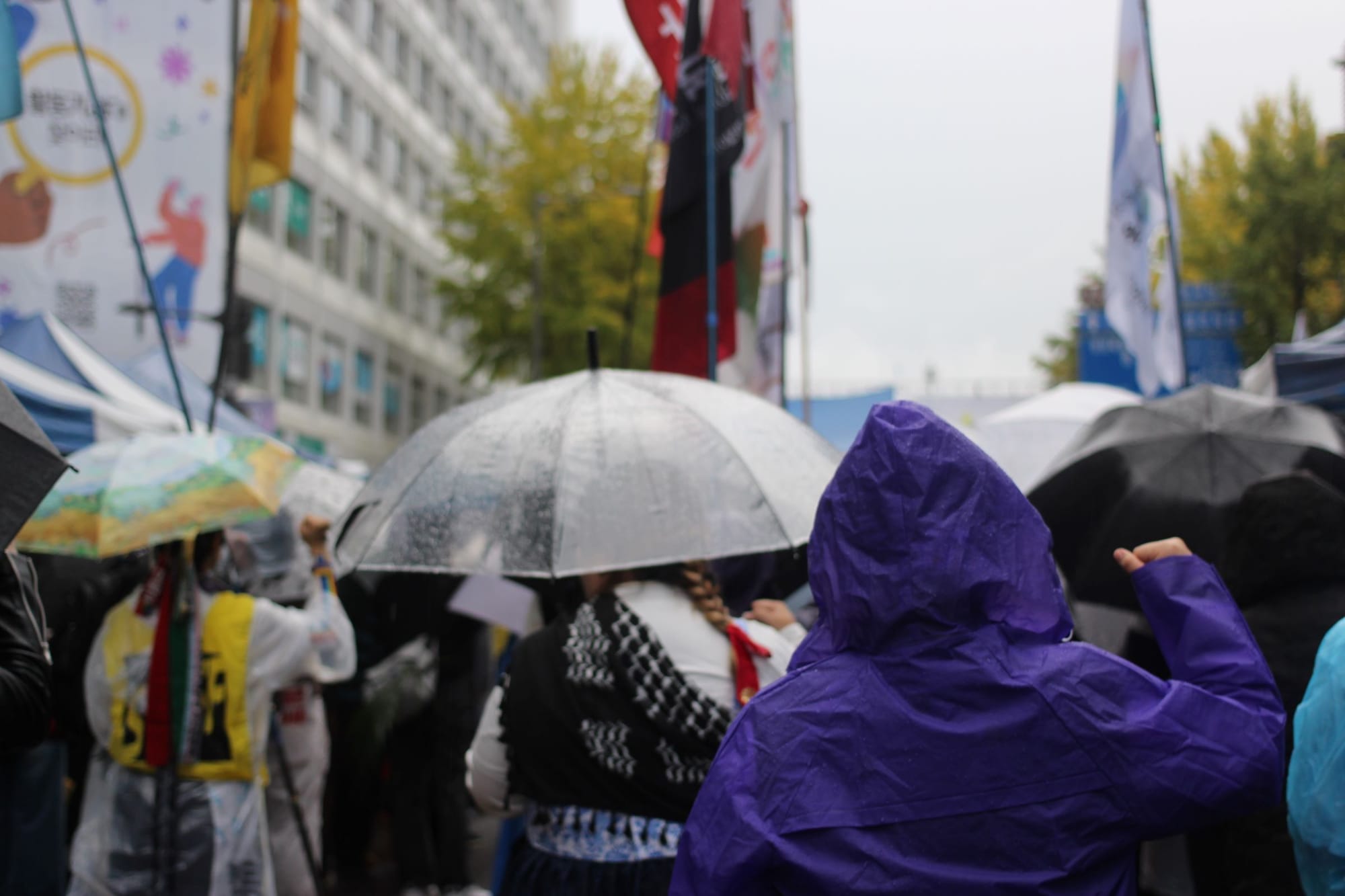 The backs of a crowd of people standing in the rain with flags, raising fists.