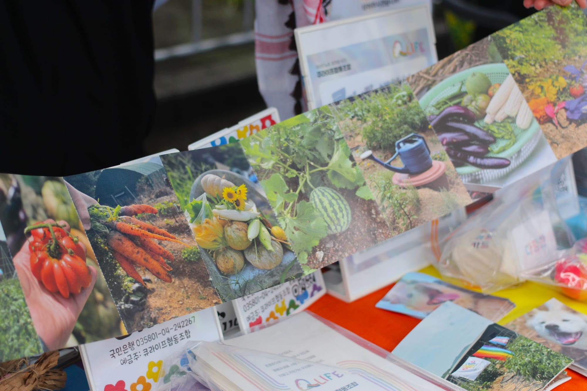 An attached postcard set with pictures of vegetables arranged by color from red to purple.