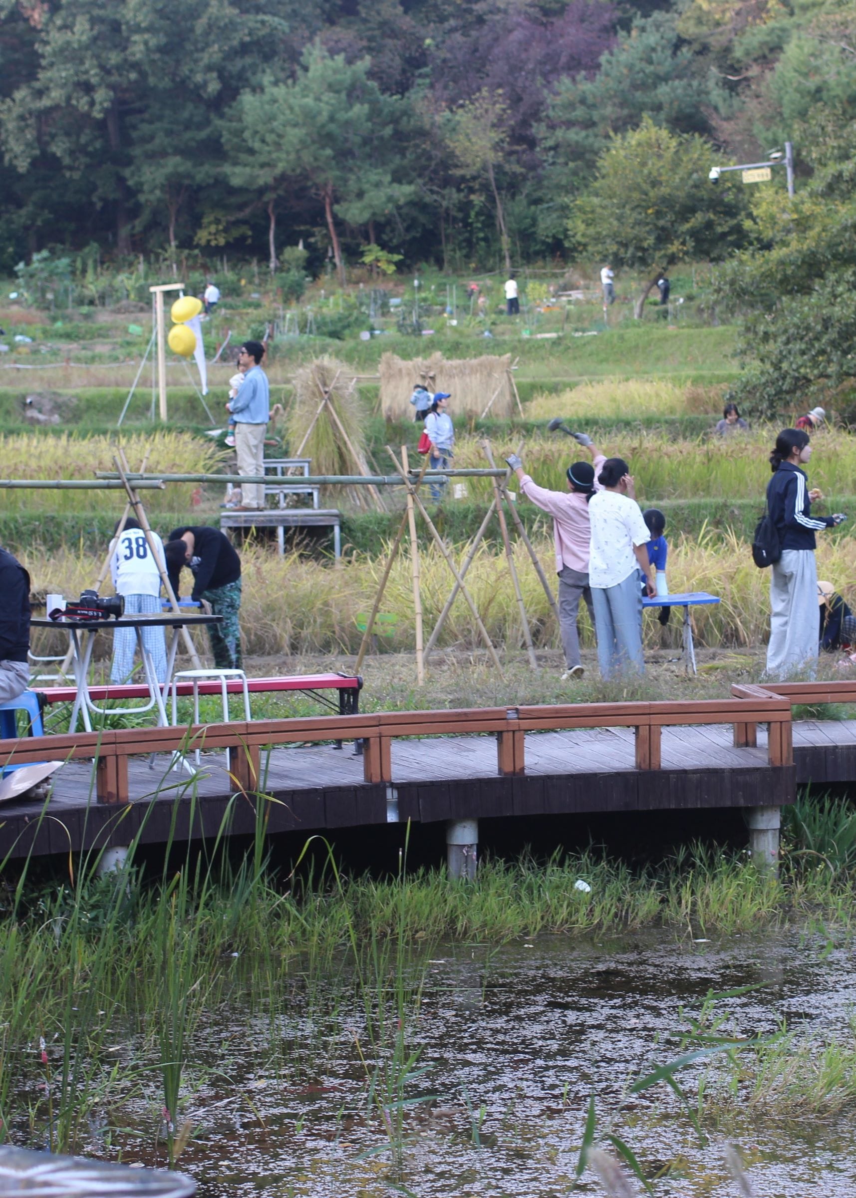 The multiple tiers of the rice paddy. In the foreground is a circular pond with a lot of vegetation growing around it. A little back, someone is using a mallet to put together a bamboo drying rack. People are standing on various levels of the terrace.