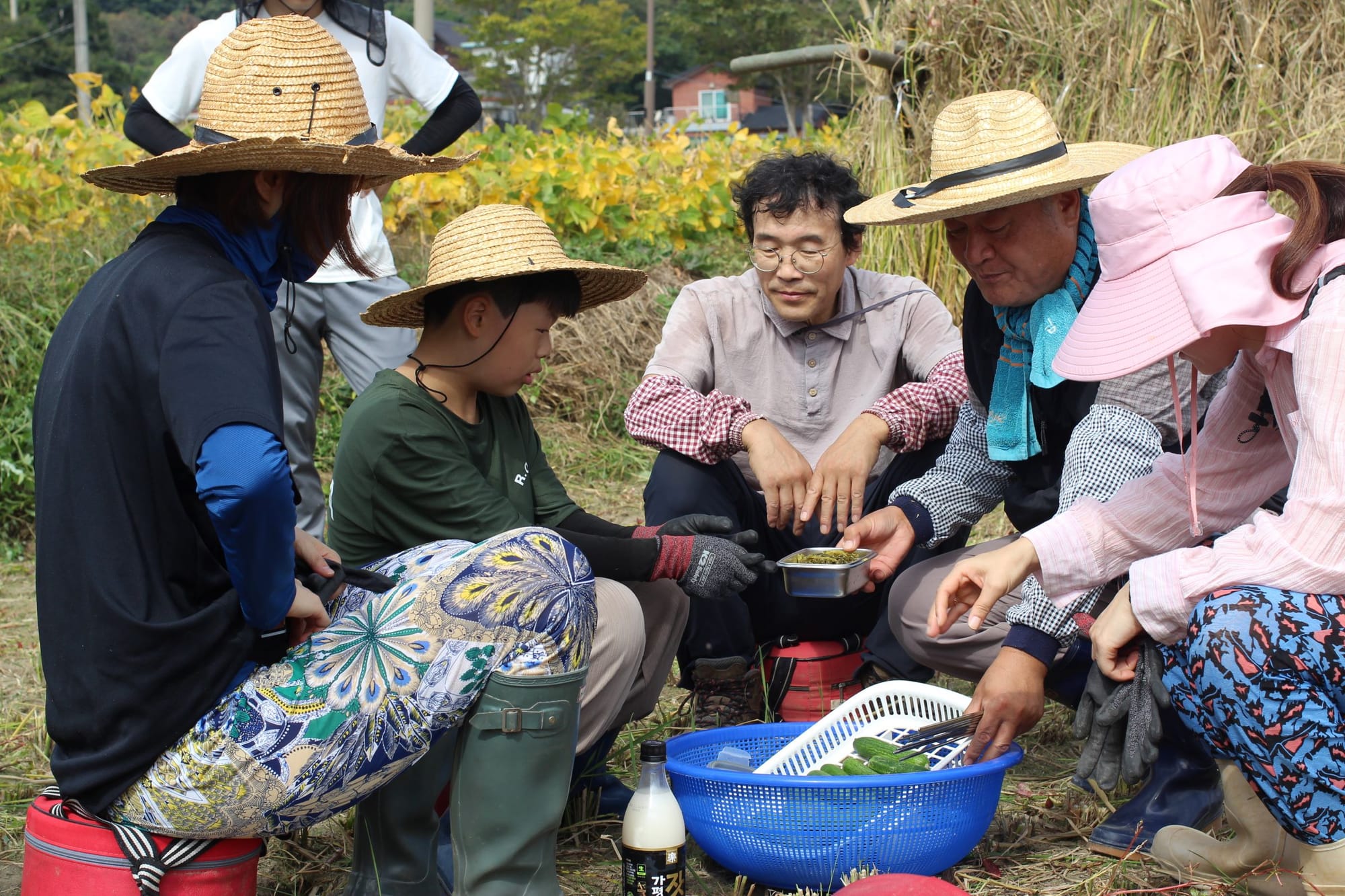 Five people in farming clothes sit around a basket with cucumbers. One person is standing in the back. They are outdoors, mostly wearing wide-brimmed hats.
