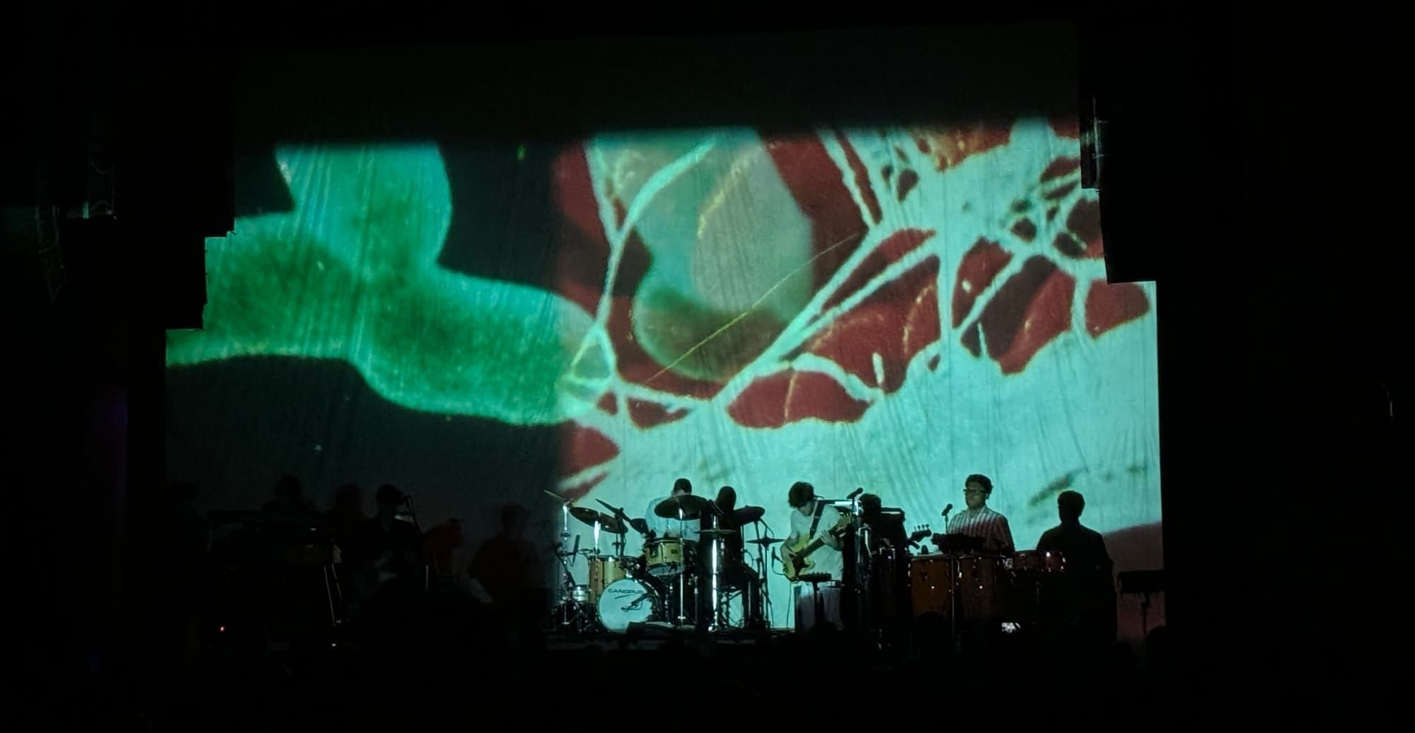 Baby Rose Steals The Show