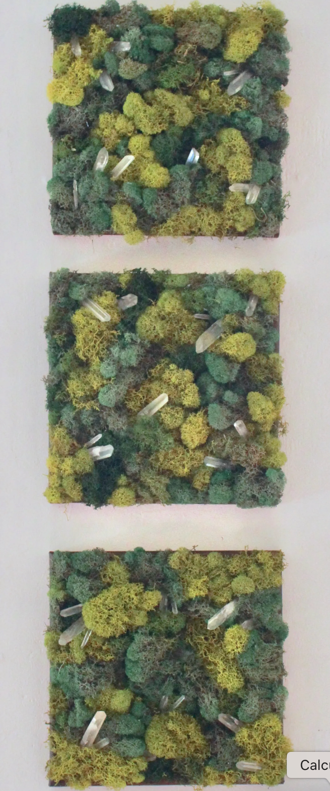 33 Artists Go Plant-Based