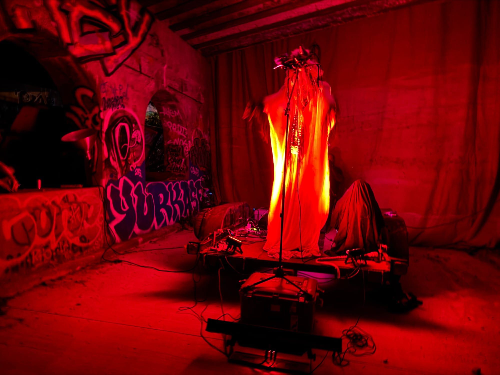 I've Never Seen Anything Like Andy the Doorbum