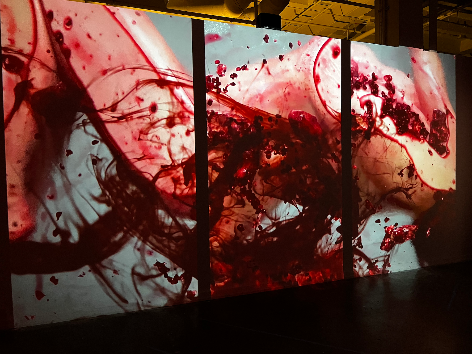 Pomegranate Smears, Bloody Projections, Ghost Cowboys, And An Alien Playing Basketball