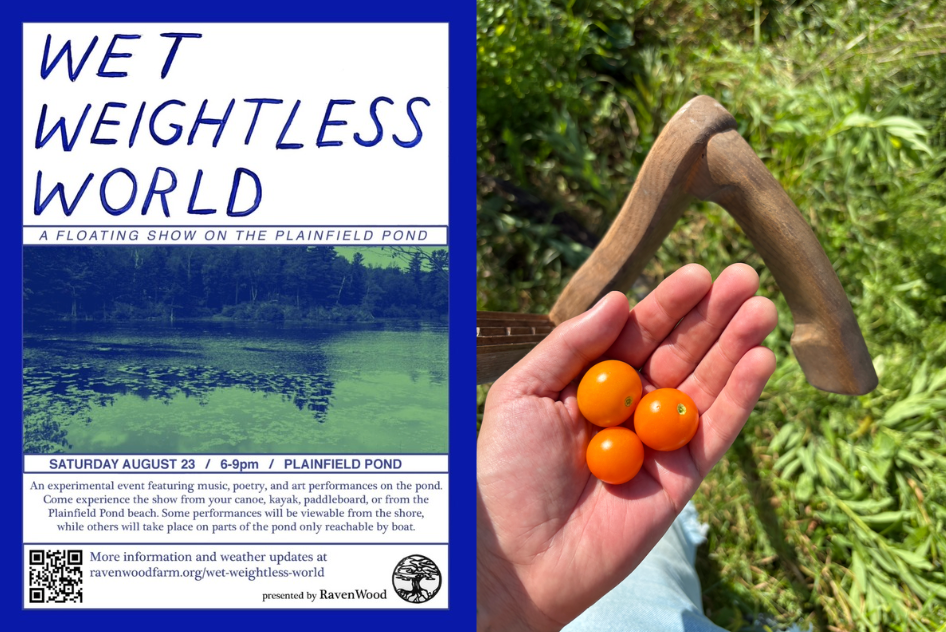 DIY Diary: Days 6 & 7