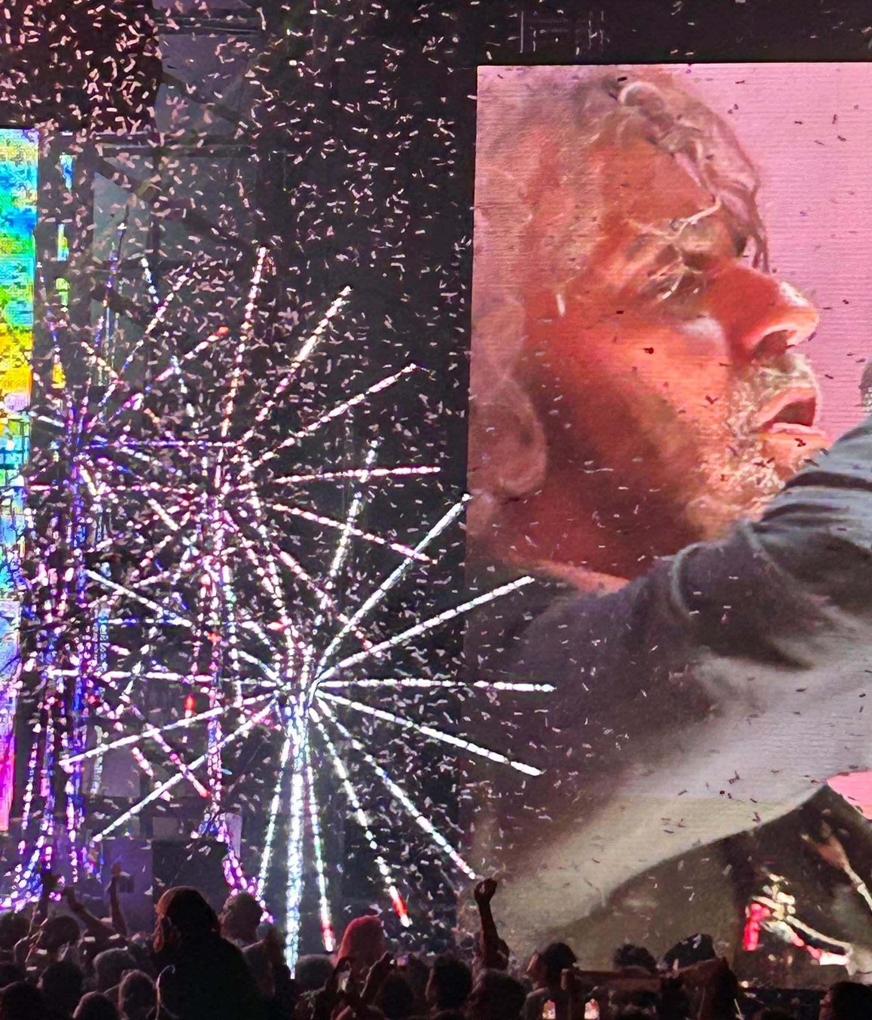 The Flaming Lips, Brilliantly Frivolous, Party On