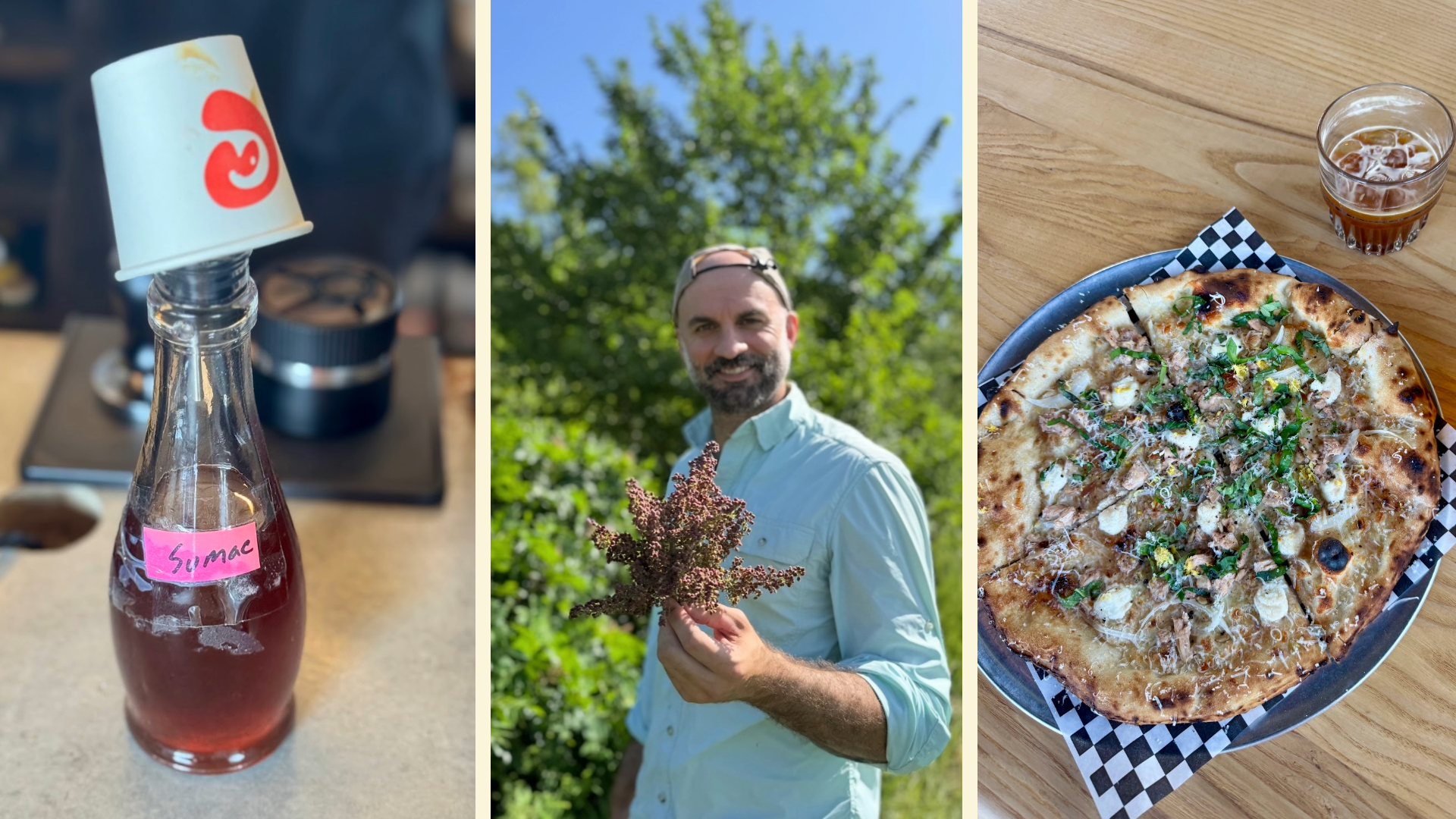 Sumac Is Delicious And Plentiful In Oklahoma. Why Don’t We Use It More?