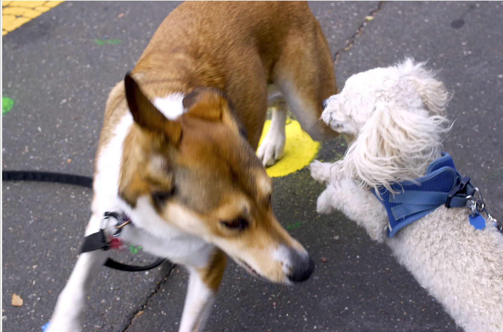 50 Bands Spark Chance Encounters