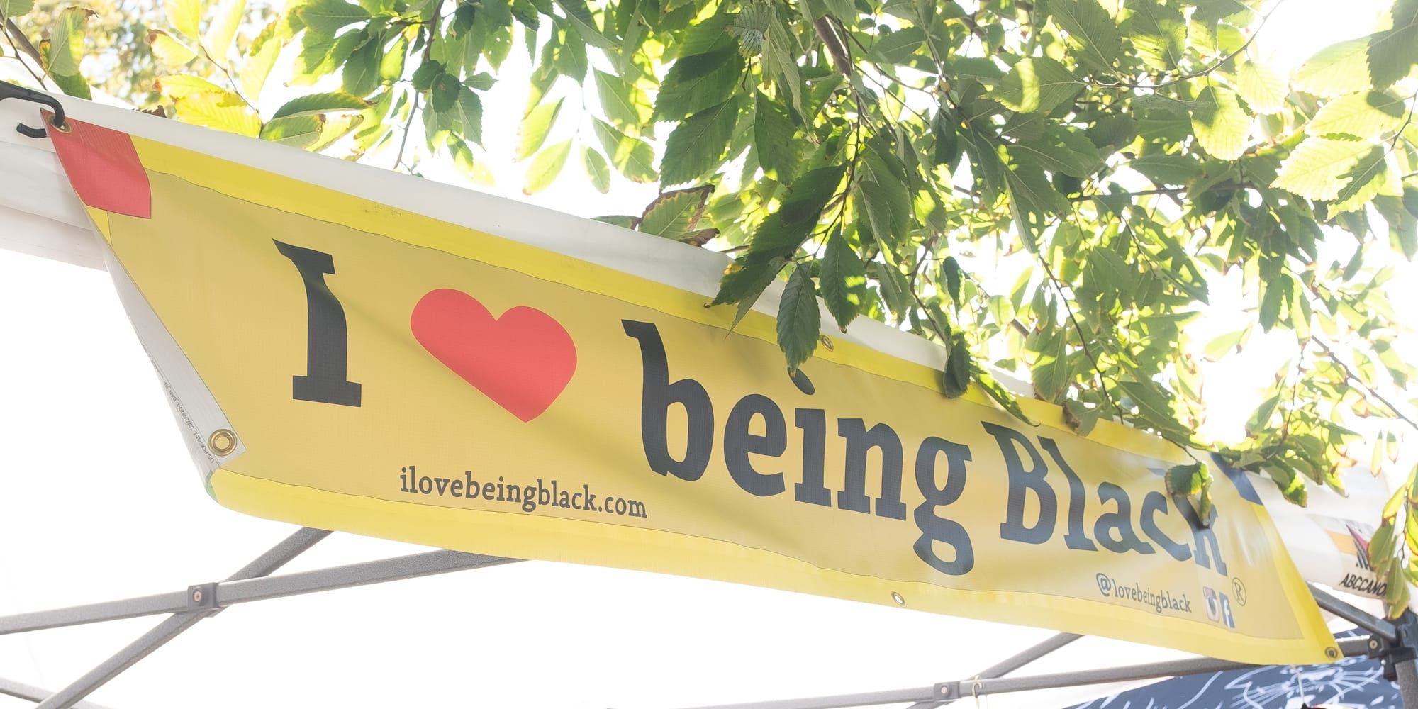 Dispatches from DeFremery