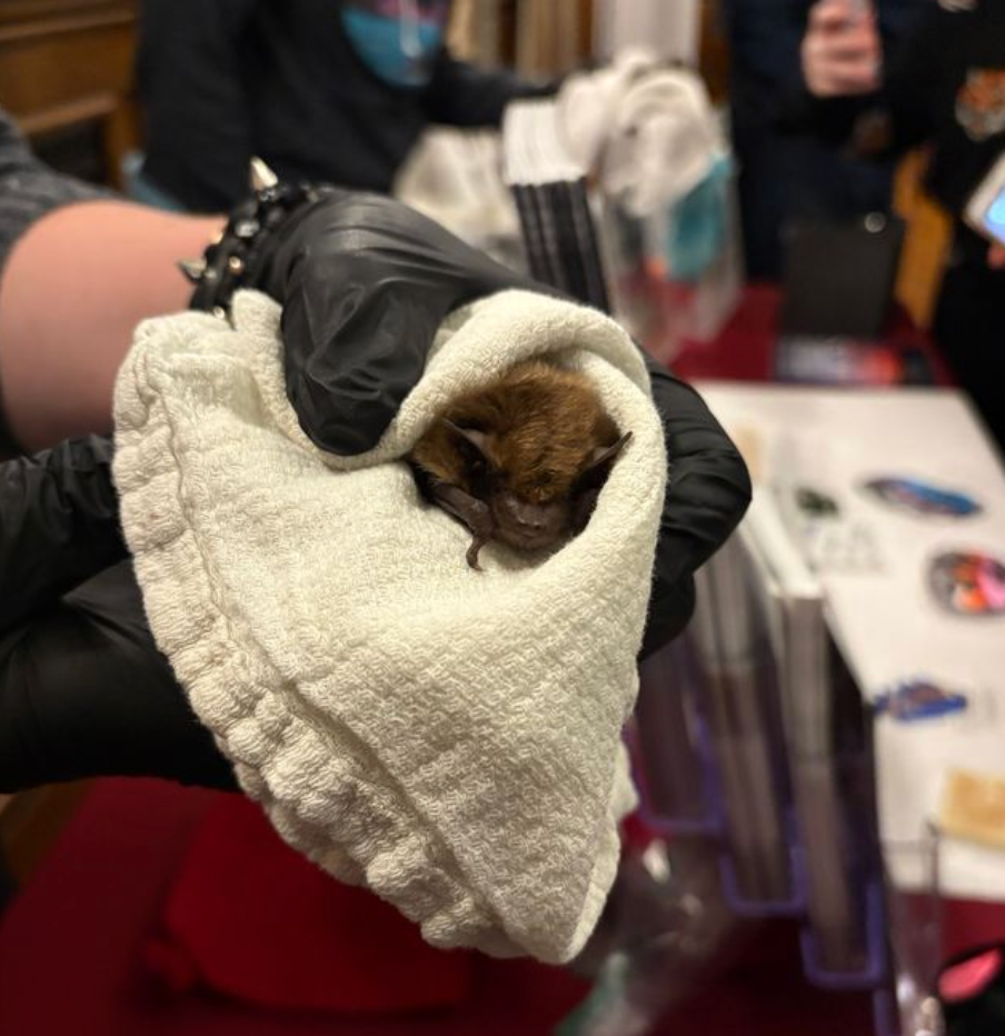 Meet & Greet With The Mythical Undead