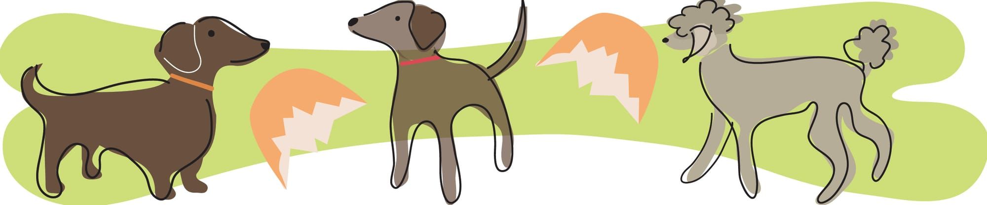 Ivy Dishes On Dog Snacks