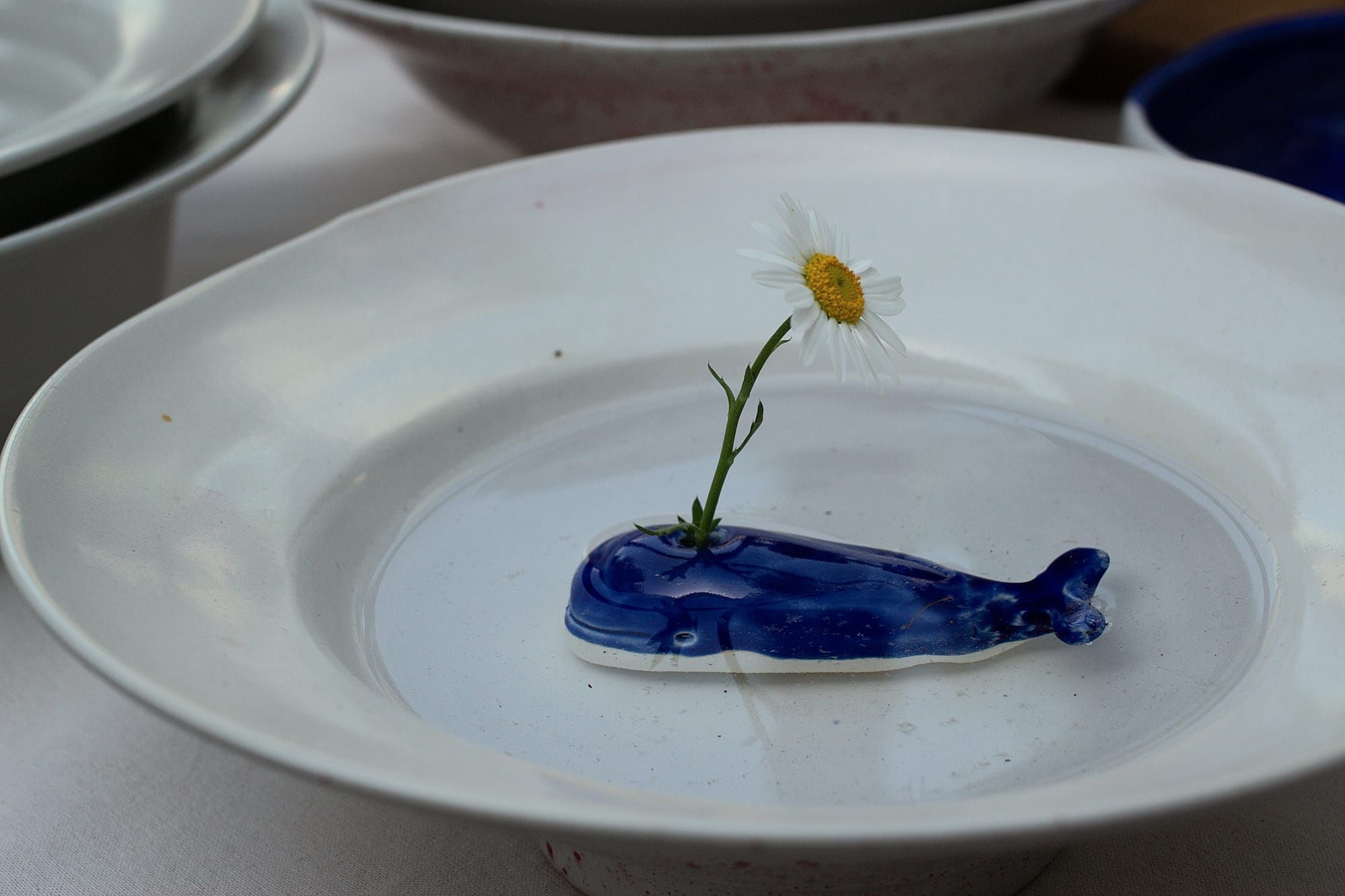 A white dish with a wide brim holds a small, blue ceramic whale that is completely submerged in water. In its 'blowhole' is a flower with a yellow center and white petals.