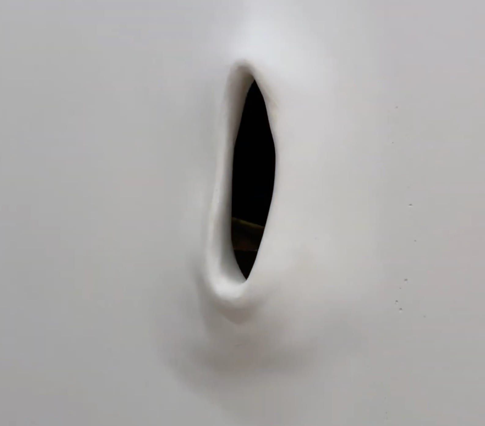 Jes Fan Is An Apt Pupa