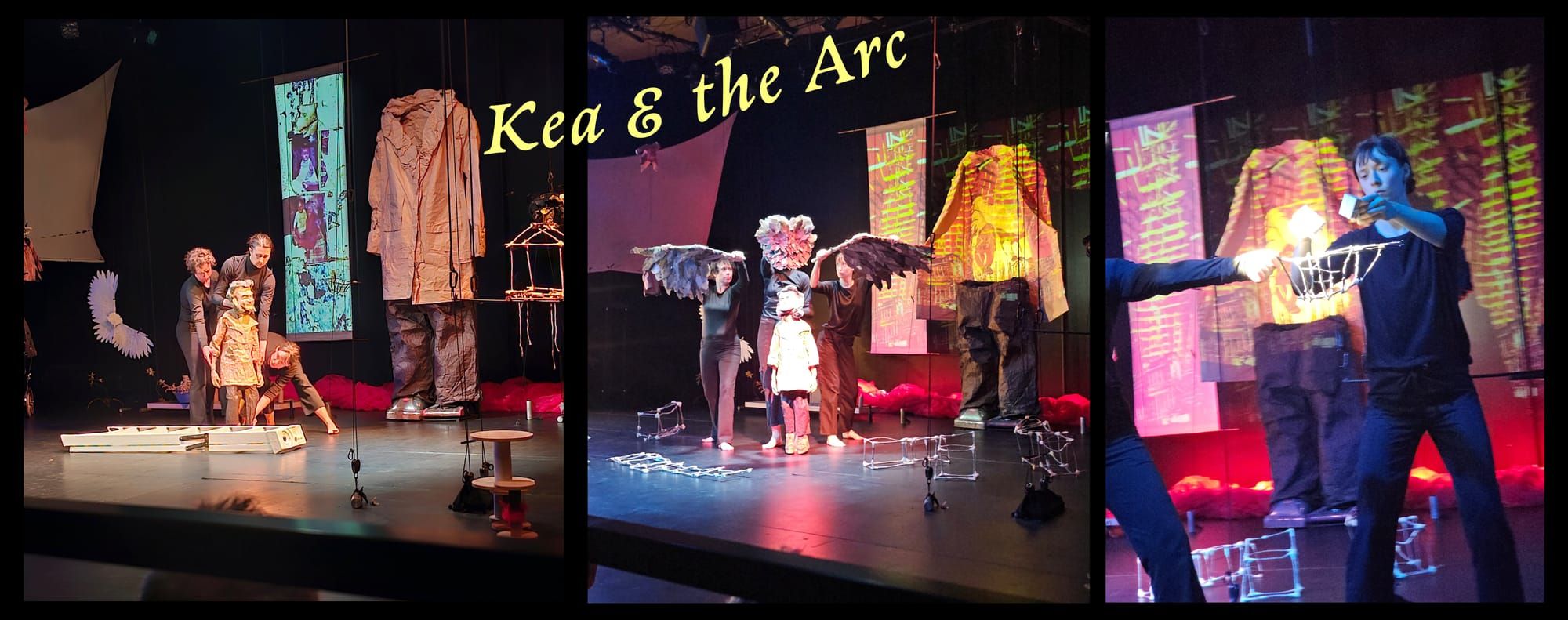 Kea's Ark Returns to Shore