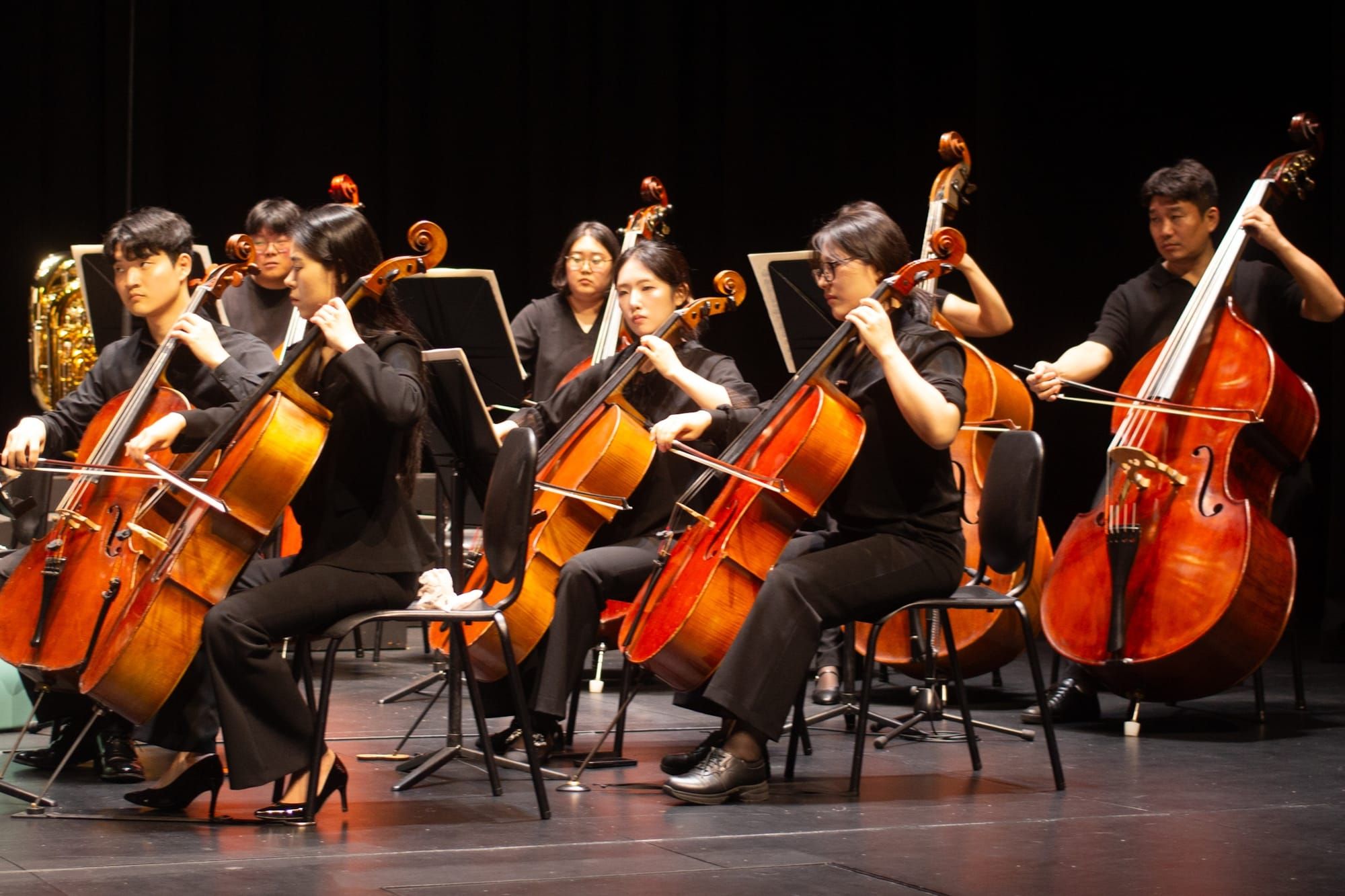 About ten or so musicians in an orchestra, mostly playing bass and cello. There are some brass instruments in the back. They are wearing black.