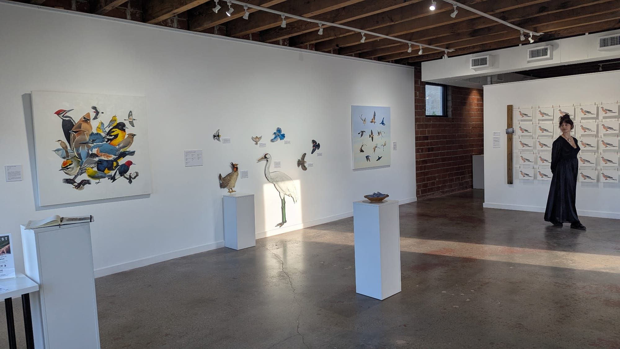 BirdTok-Obsessed? Wait Till You See These Paintings
