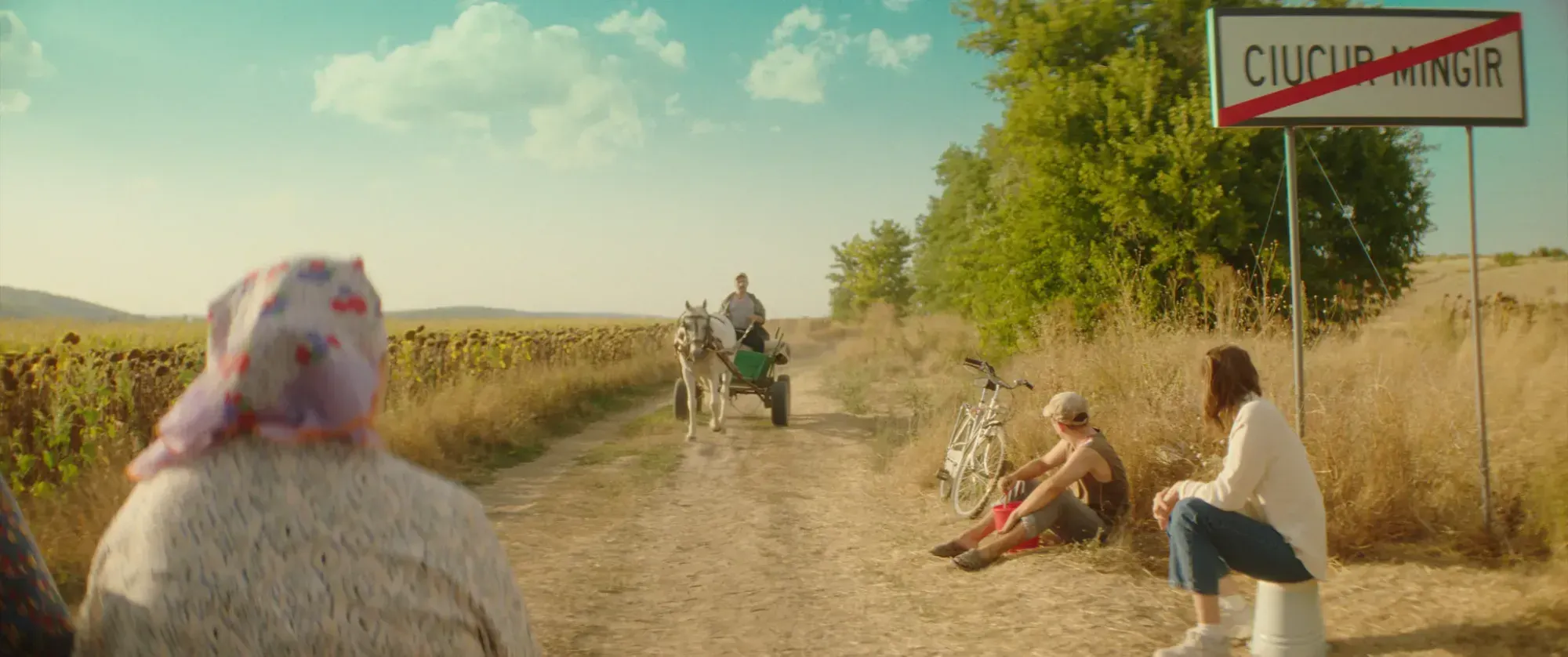 Oscar-Qualifying International Shorts Take Center Stage
