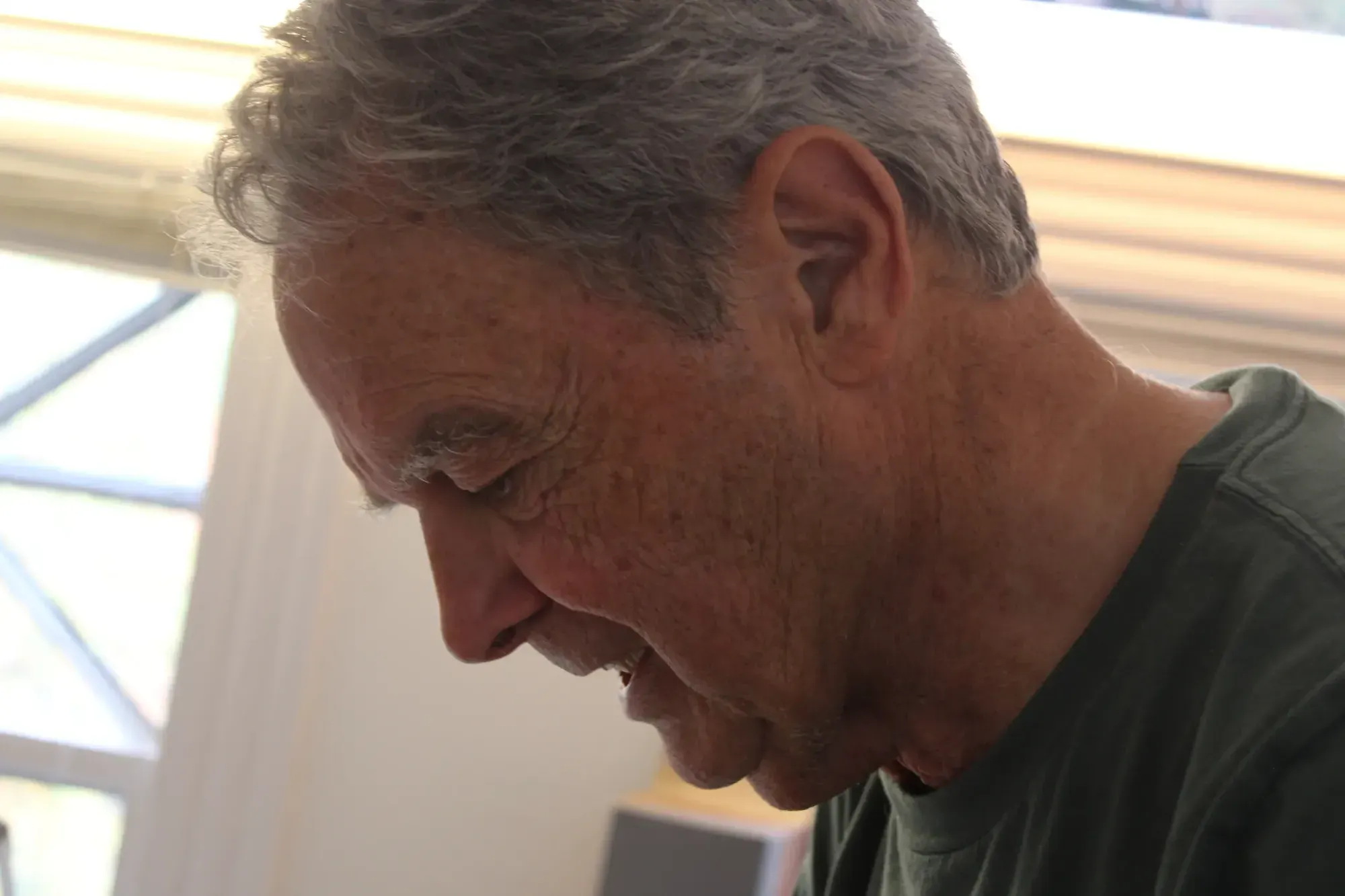Artist Memorializes Fallen Beeches