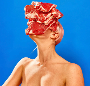 Hey Erector Square: Who You Calling Meat Face?