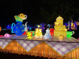 Down The Wonderland Lantern Rabbit Hole